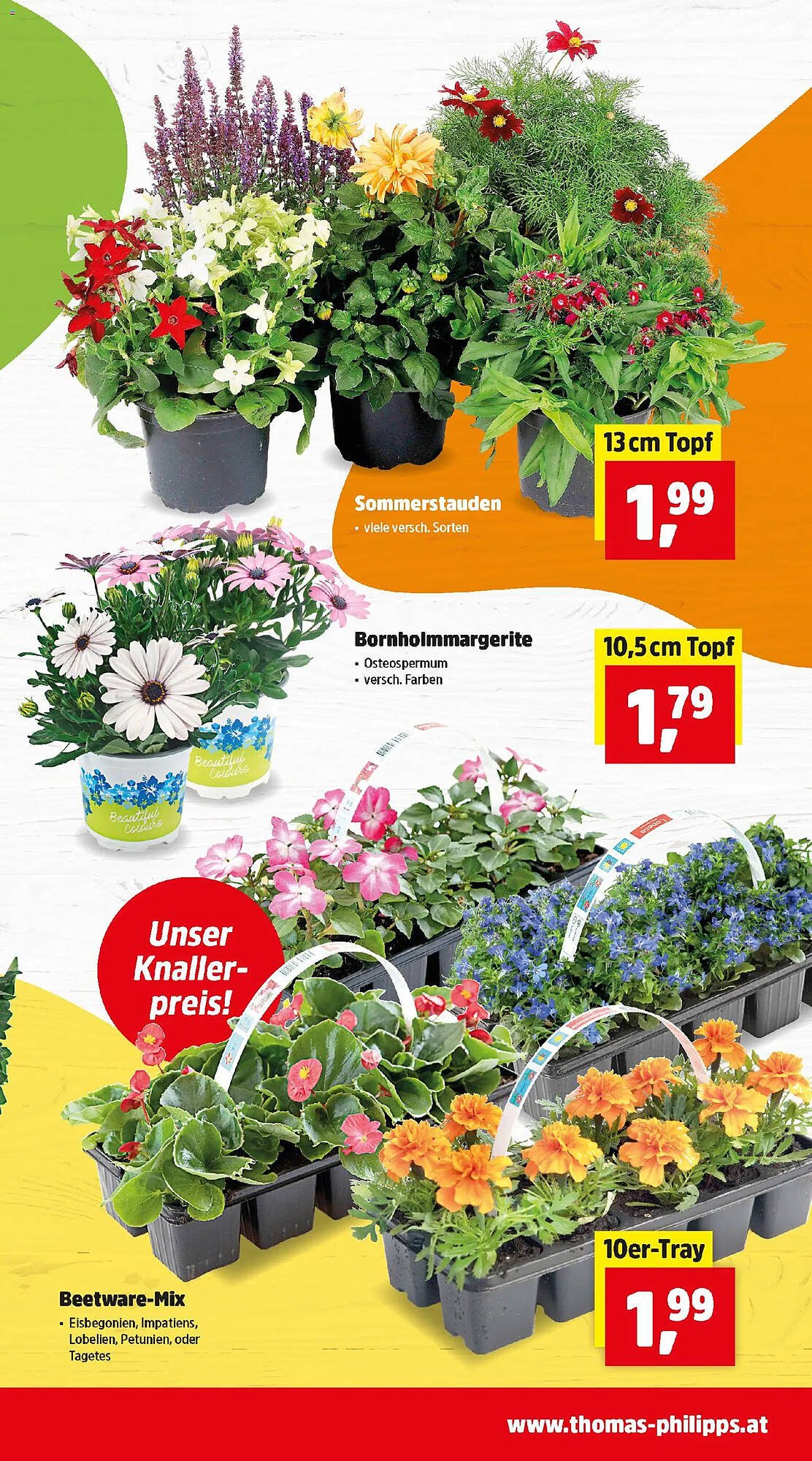 Thomas Philipps Prospekt