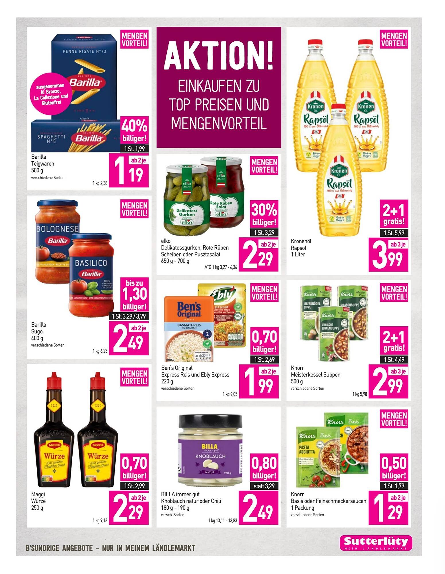 Sutterlüty Flugblatt