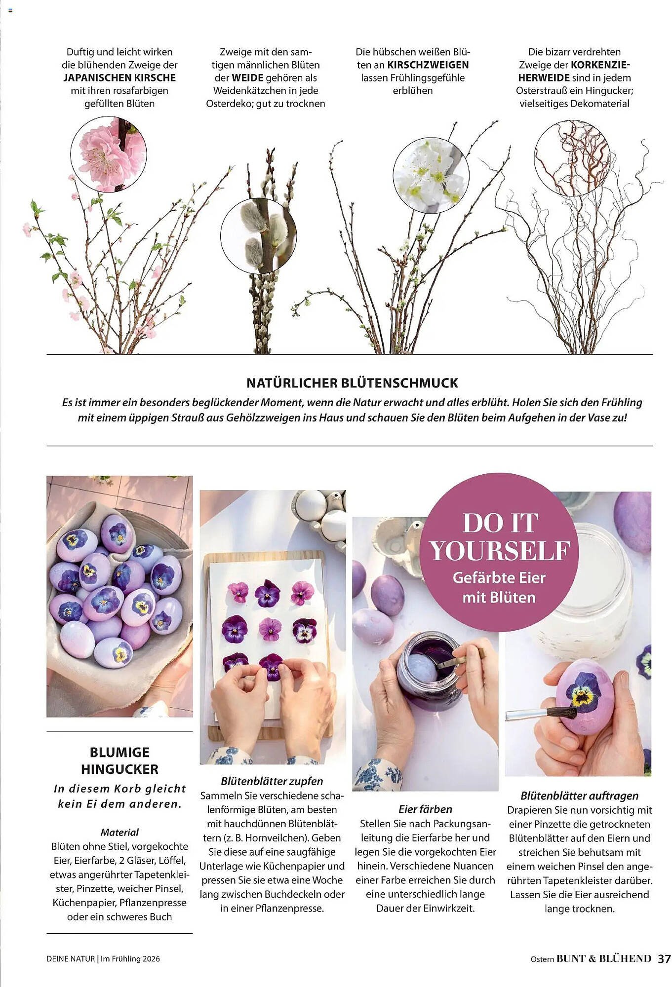 Dehner Flugblatt (2026-03-05 - 2026-05-31) | 37