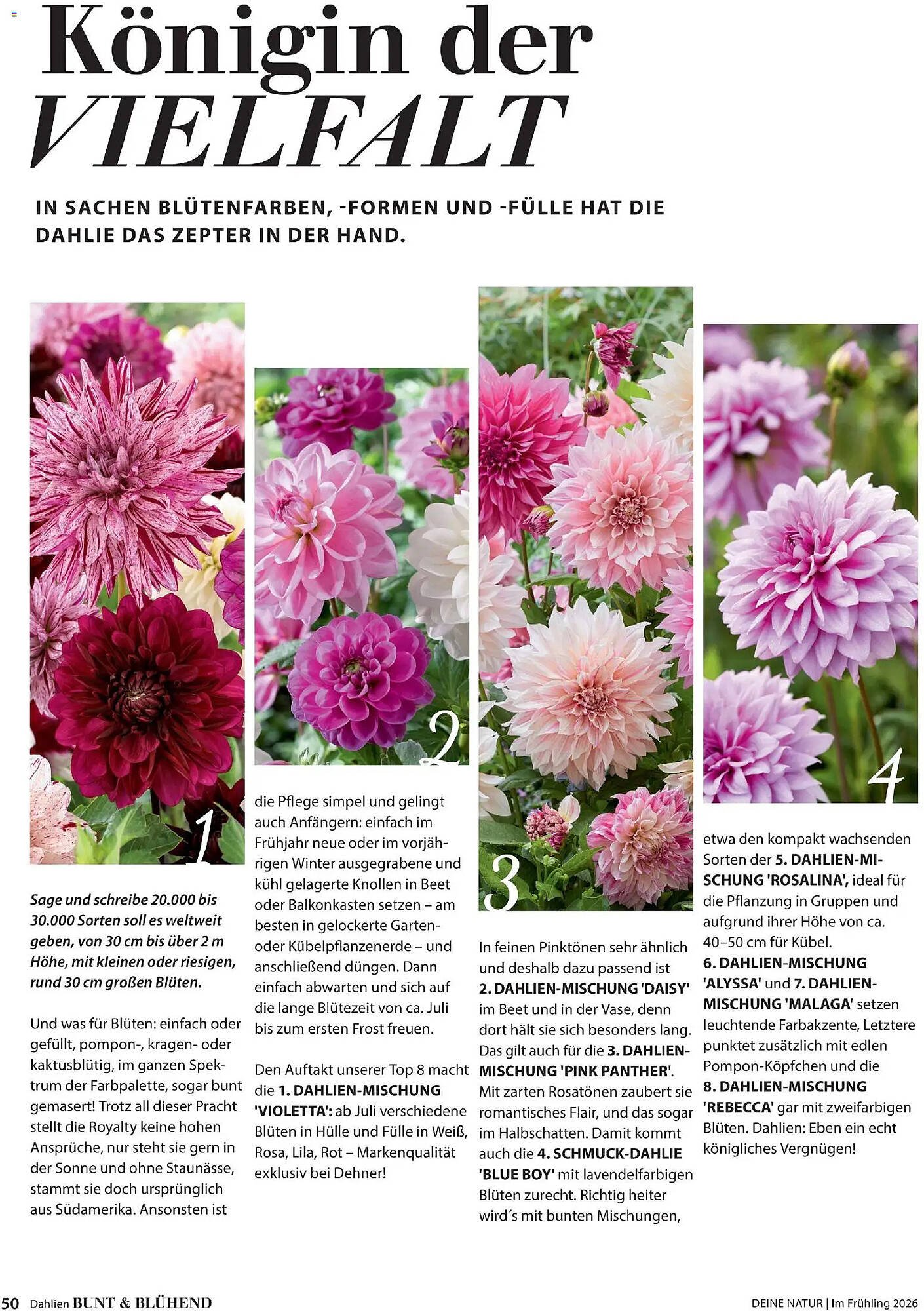 Dehner Flugblatt (2026-03-05 - 2026-05-31) | 50