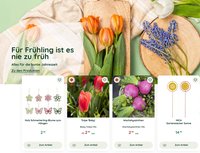 Bellaflora Flugblatt