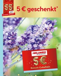 Hellweg Prospekt