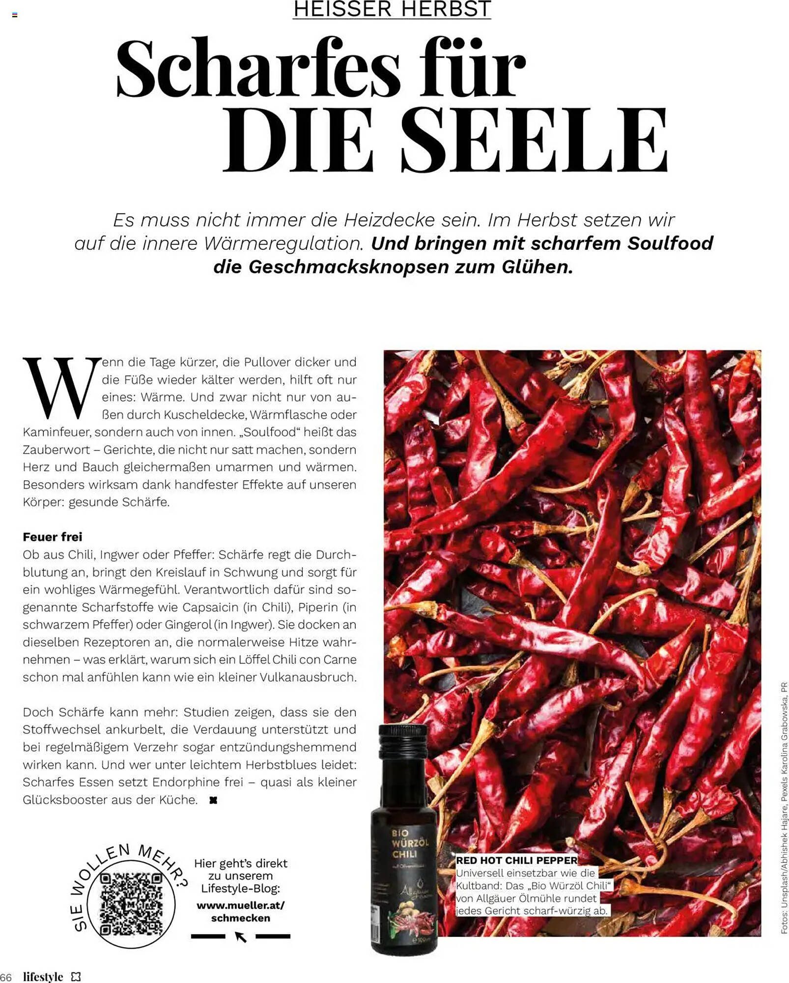 Müller Flugblatt (2025-09-01 - 2025-10-31)