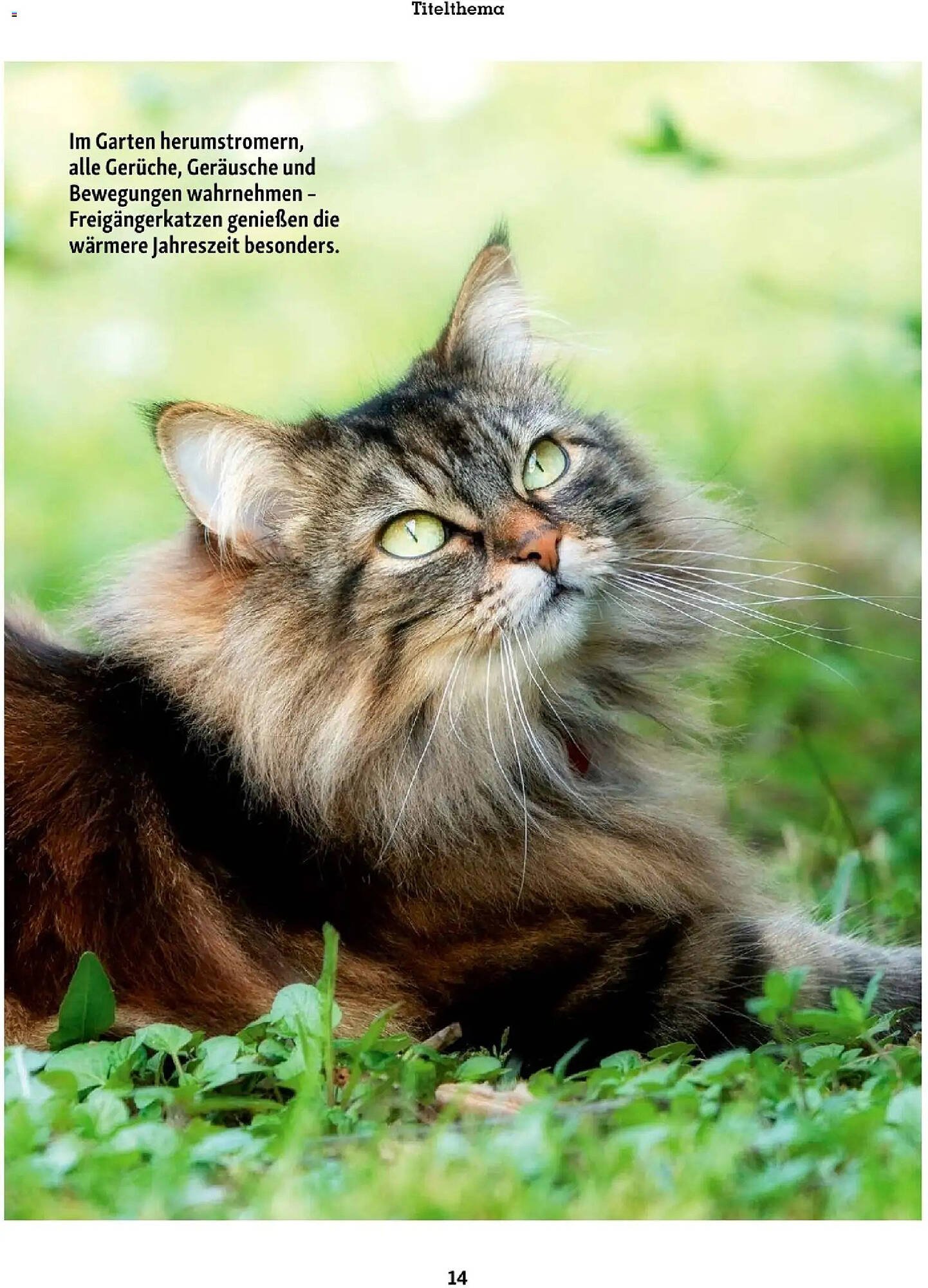 Fressnapf Flugblatt