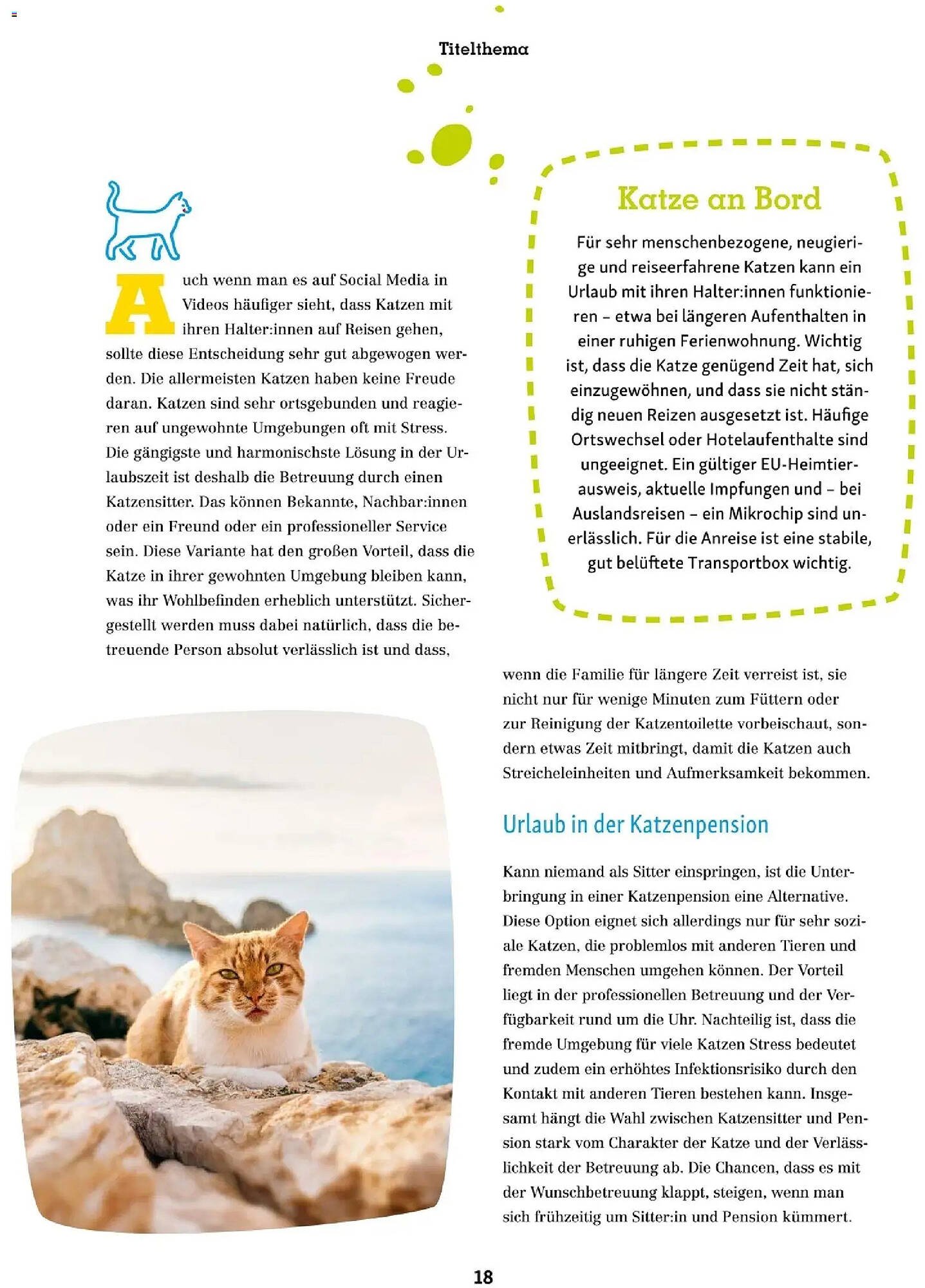 Fressnapf Flugblatt