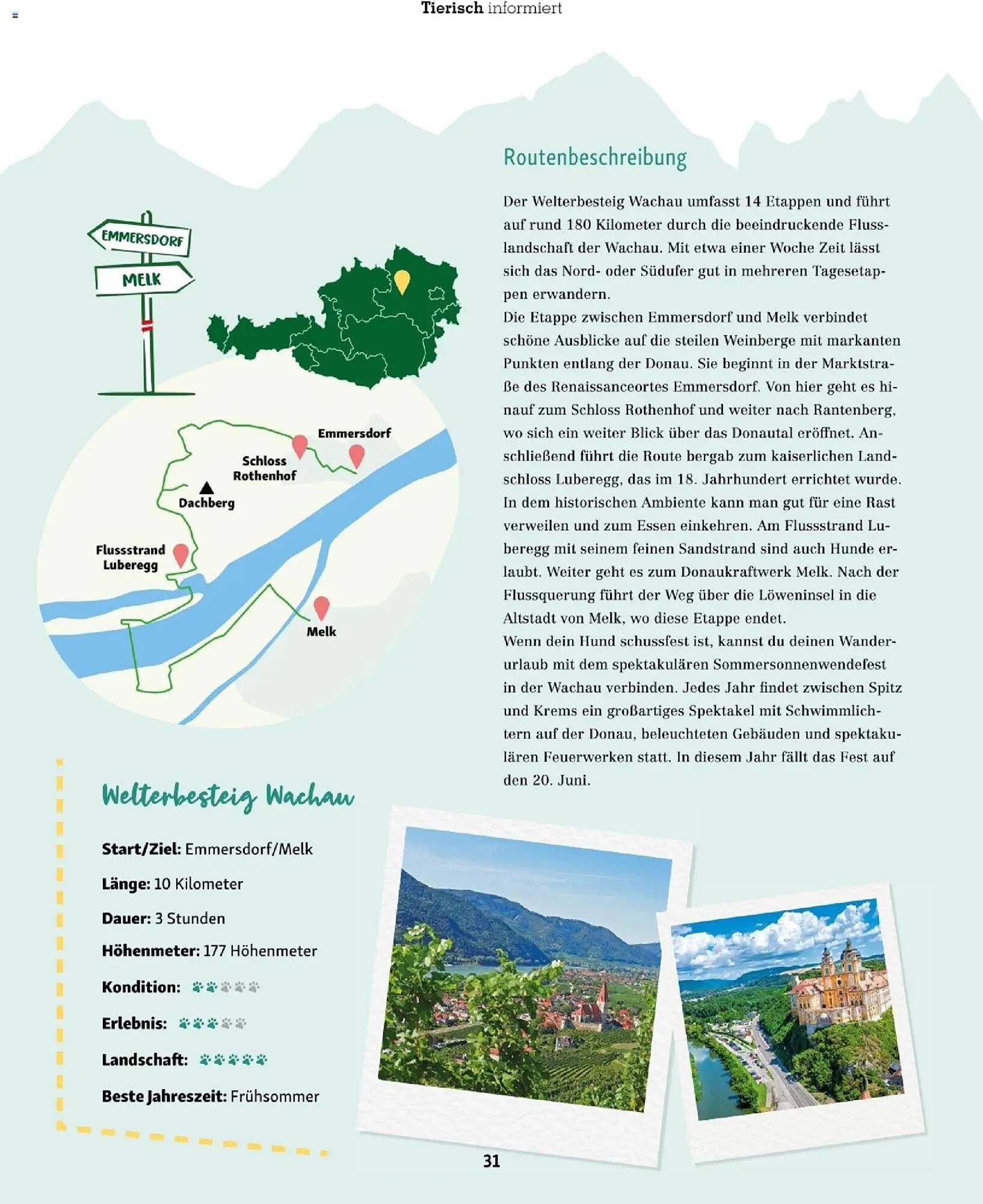 Fressnapf Flugblatt