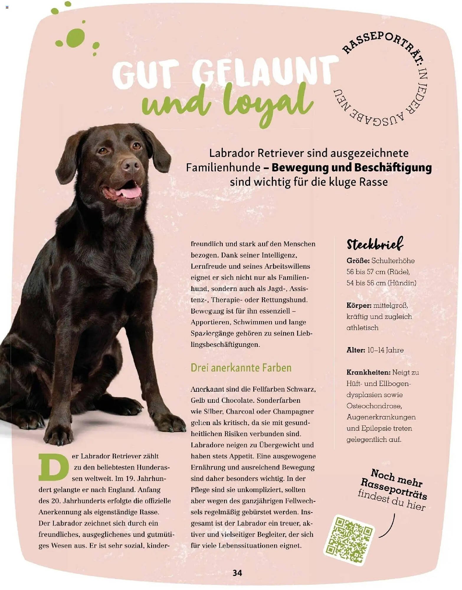 Fressnapf Flugblatt
