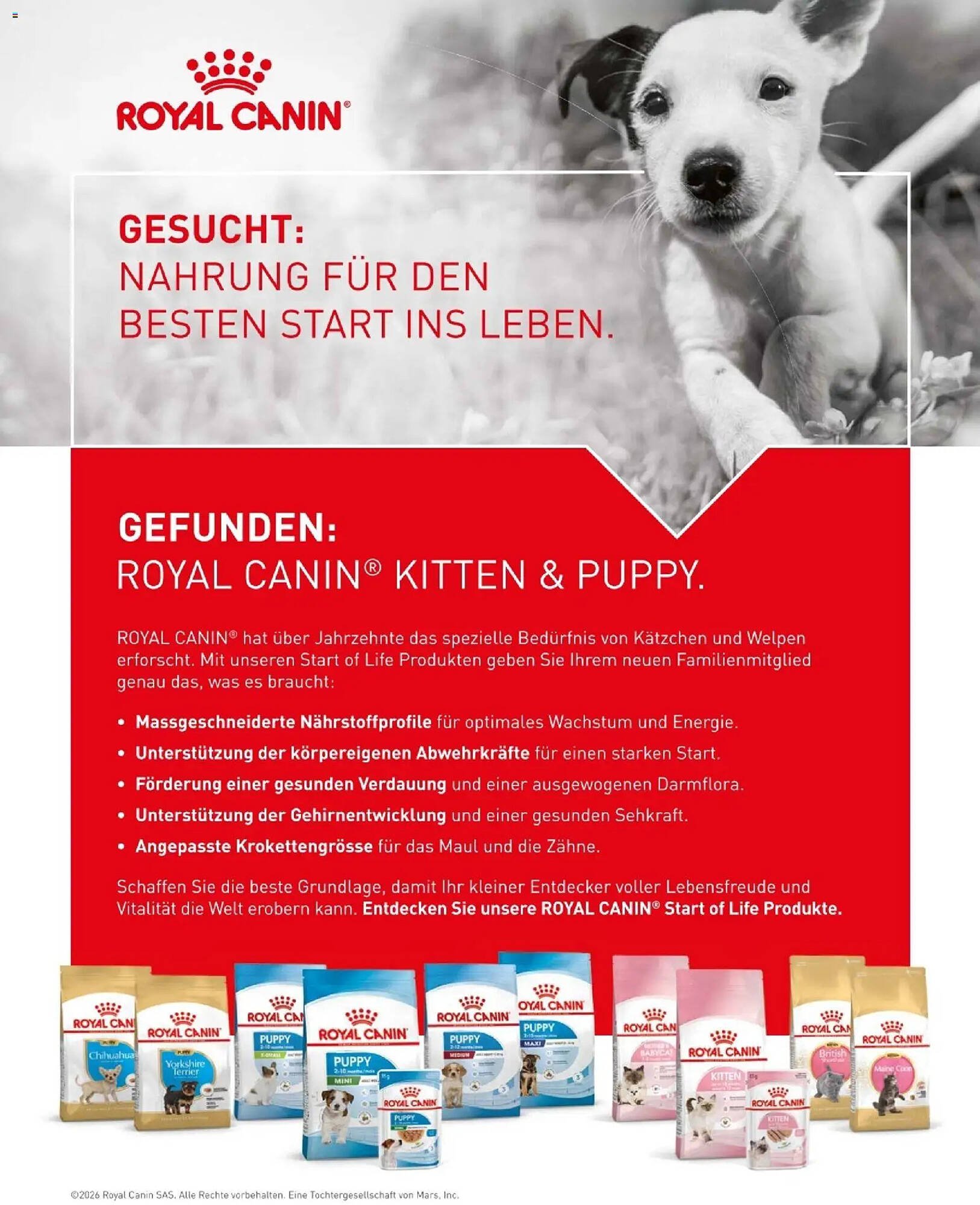 Fressnapf Flugblatt