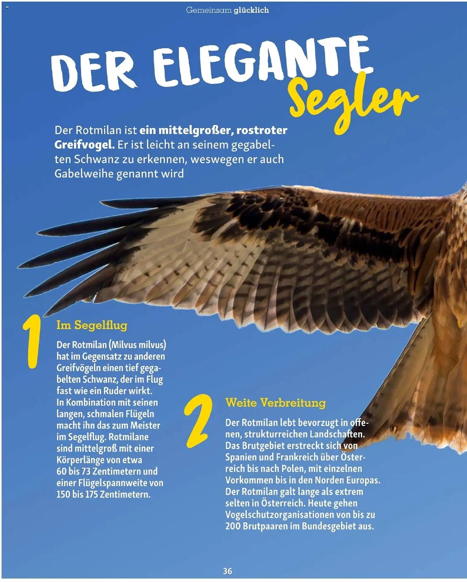 Fressnapf Flugblatt