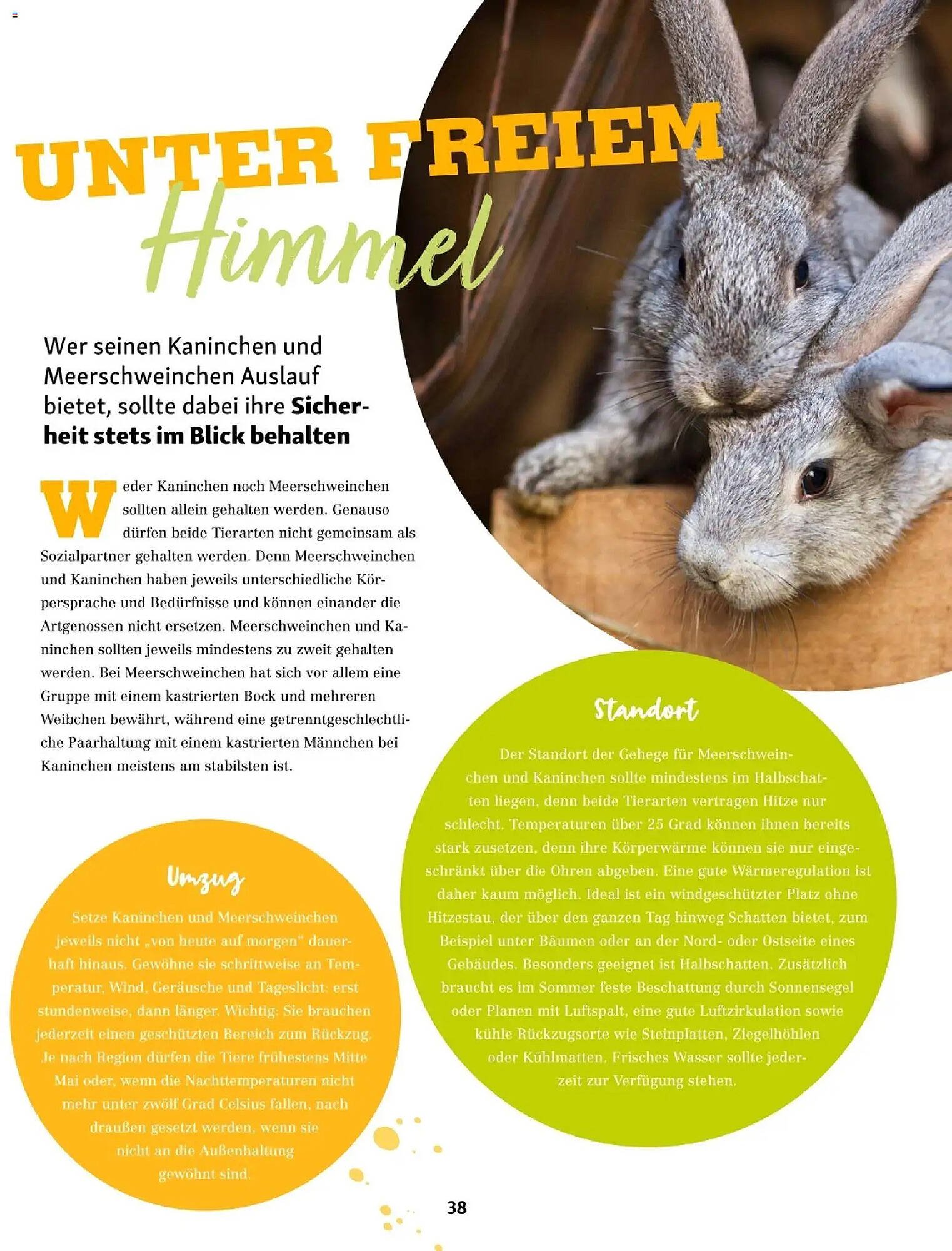 Fressnapf Flugblatt