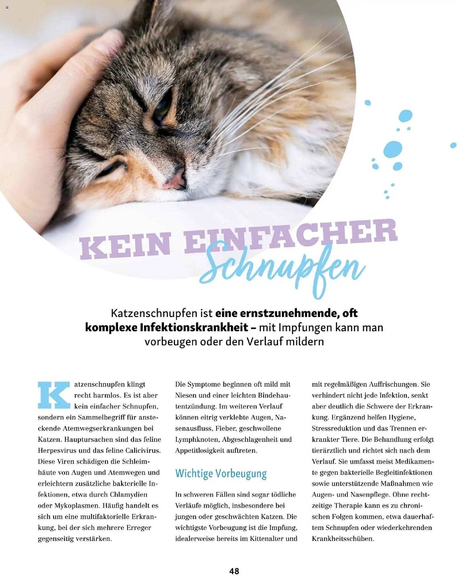 Fressnapf Flugblatt
