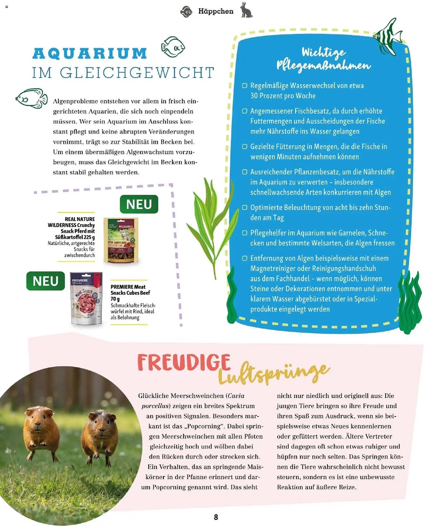 Fressnapf Flugblatt