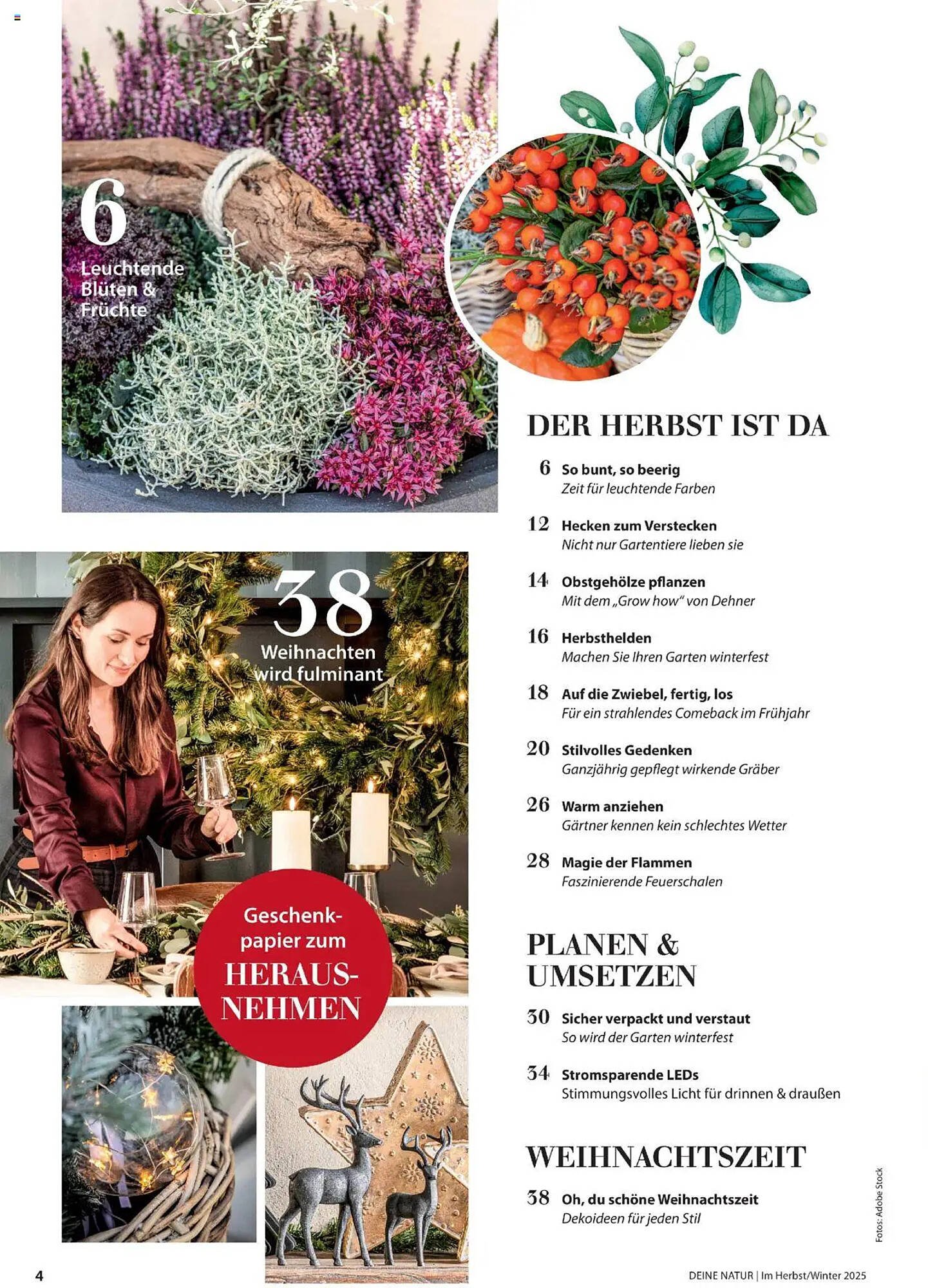 Dehner Flugblatt (2025-10-10 - 2025-11-30)