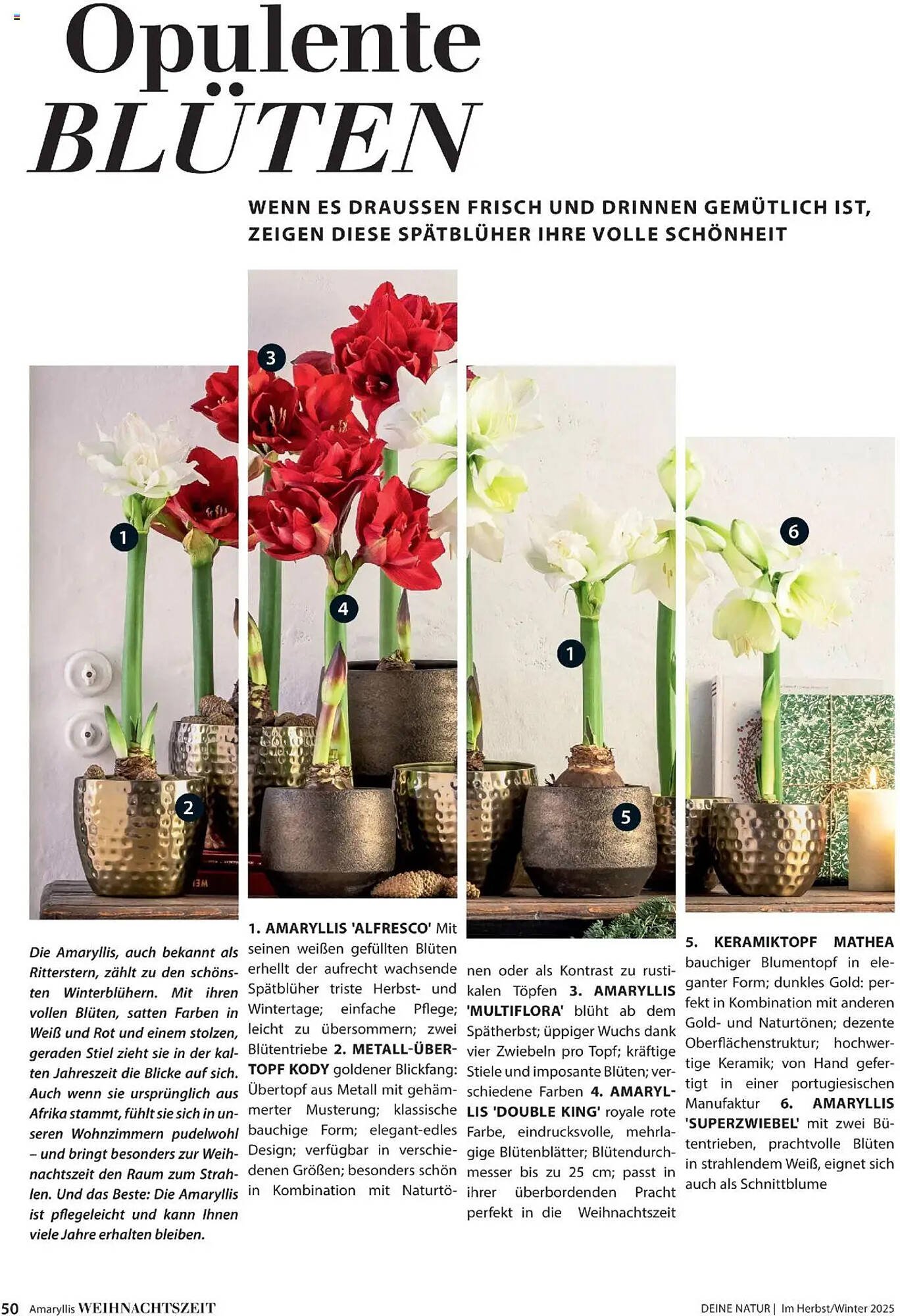 Dehner Flugblatt (2025-10-10 - 2025-11-30)