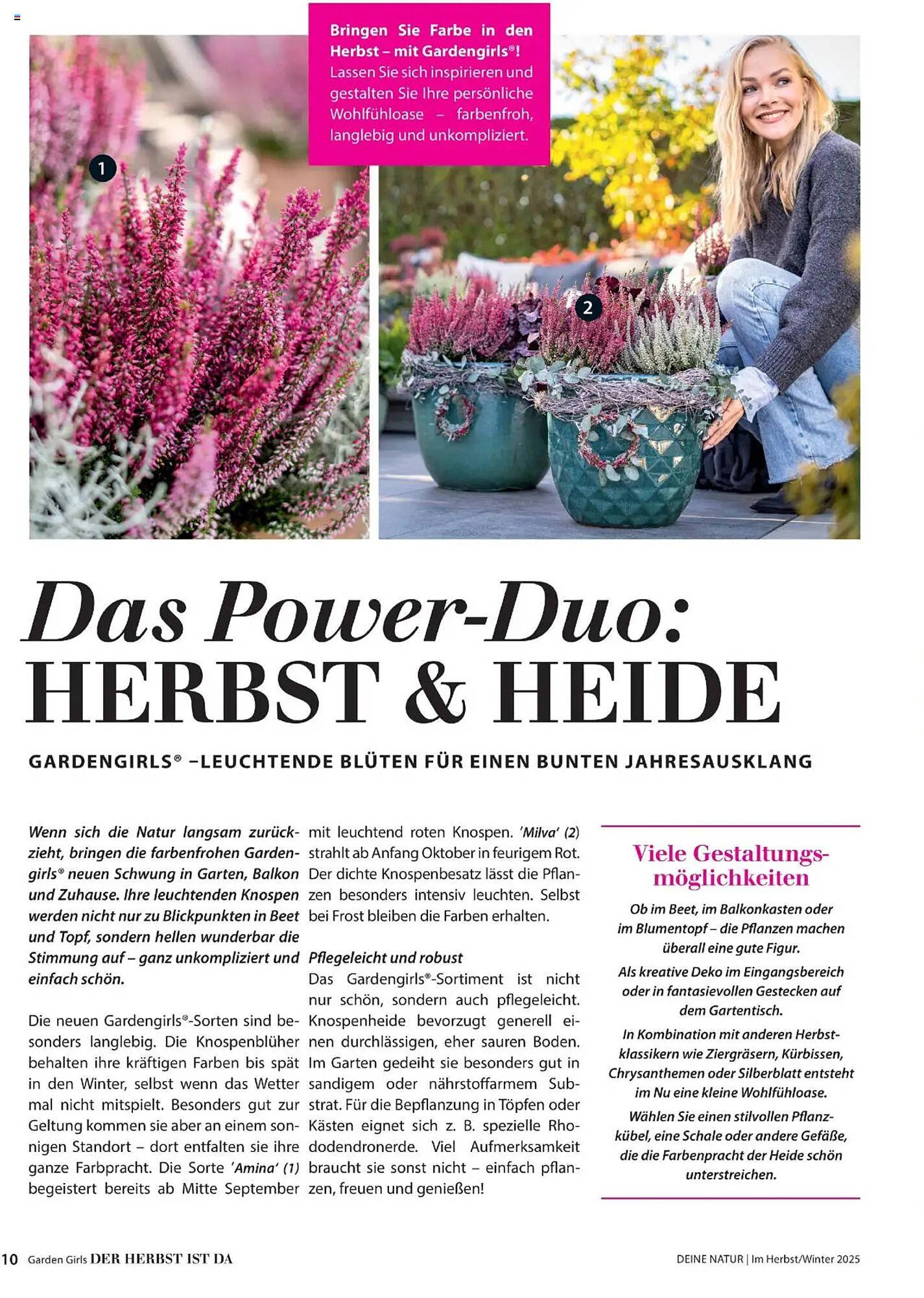 Dehner Flugblatt (2025-10-10 - 2025-11-30)