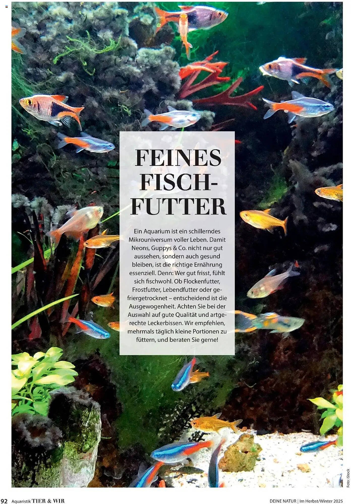 Dehner Flugblatt (2025-10-10 - 2025-11-30)