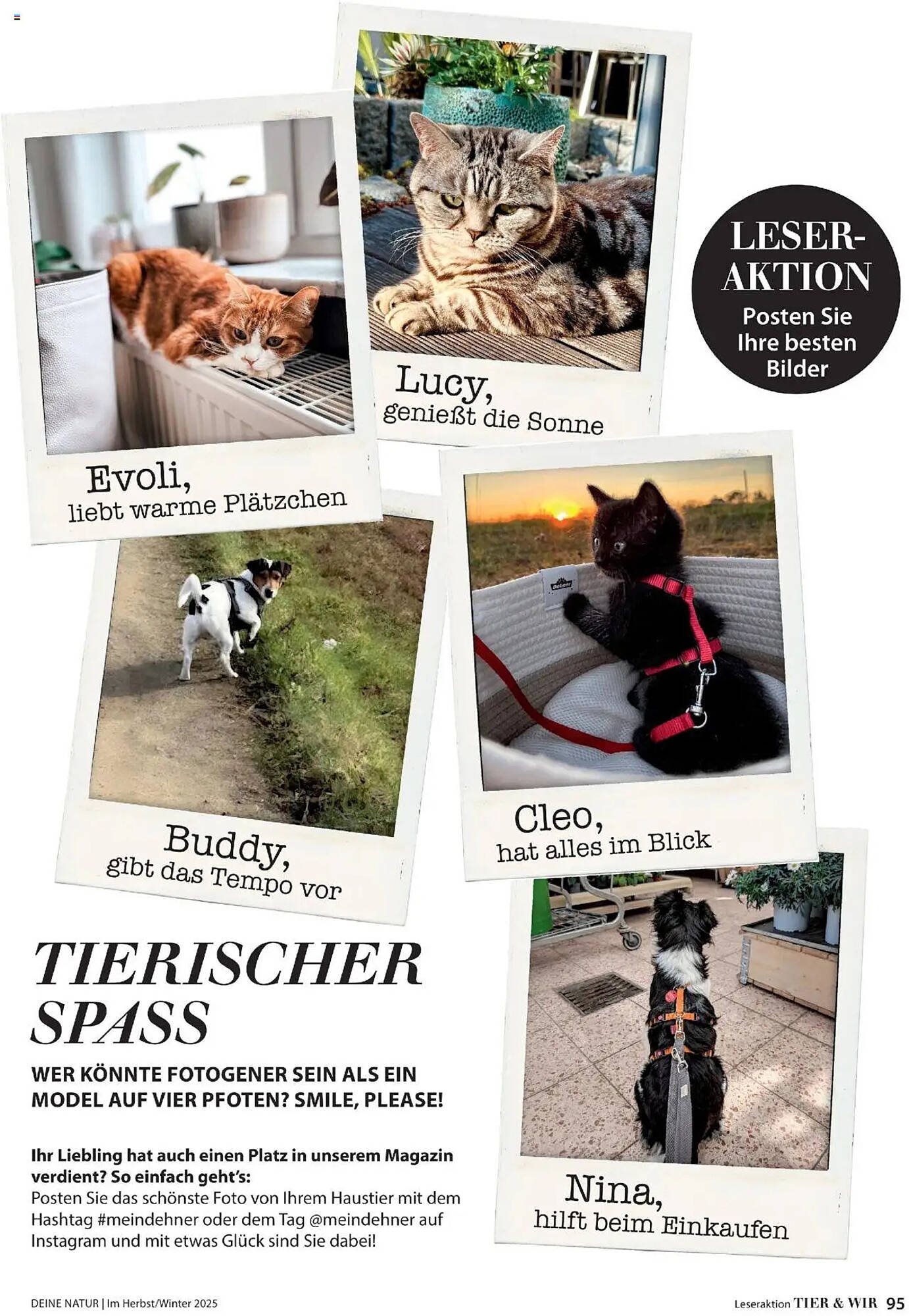 Dehner Flugblatt (2025-10-10 - 2025-11-30)