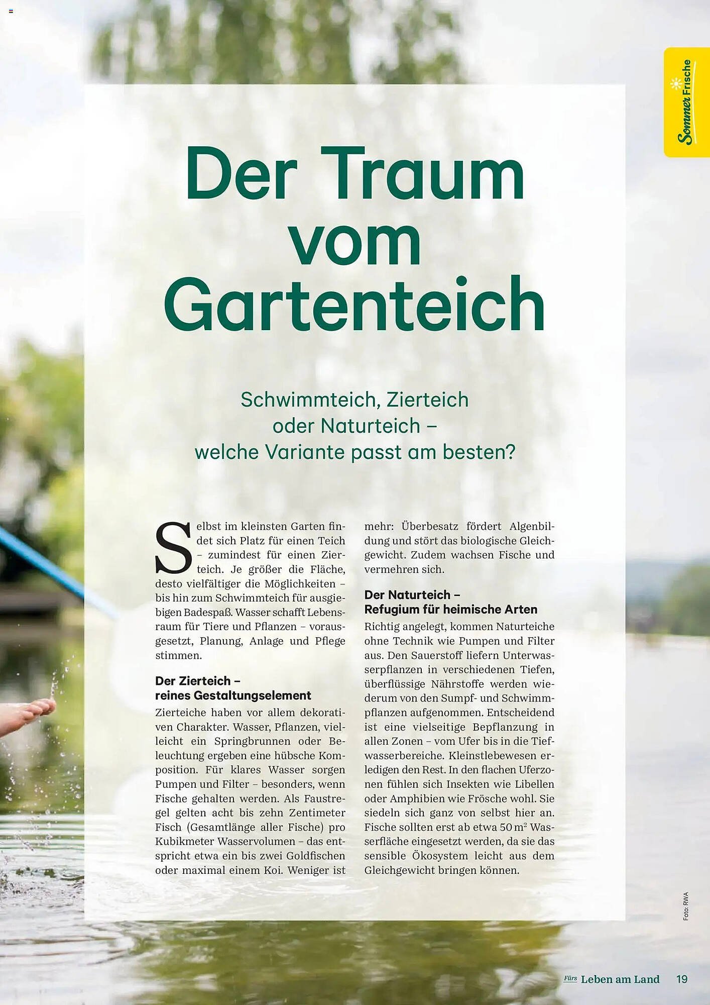 Lagerhaus Flugblatt