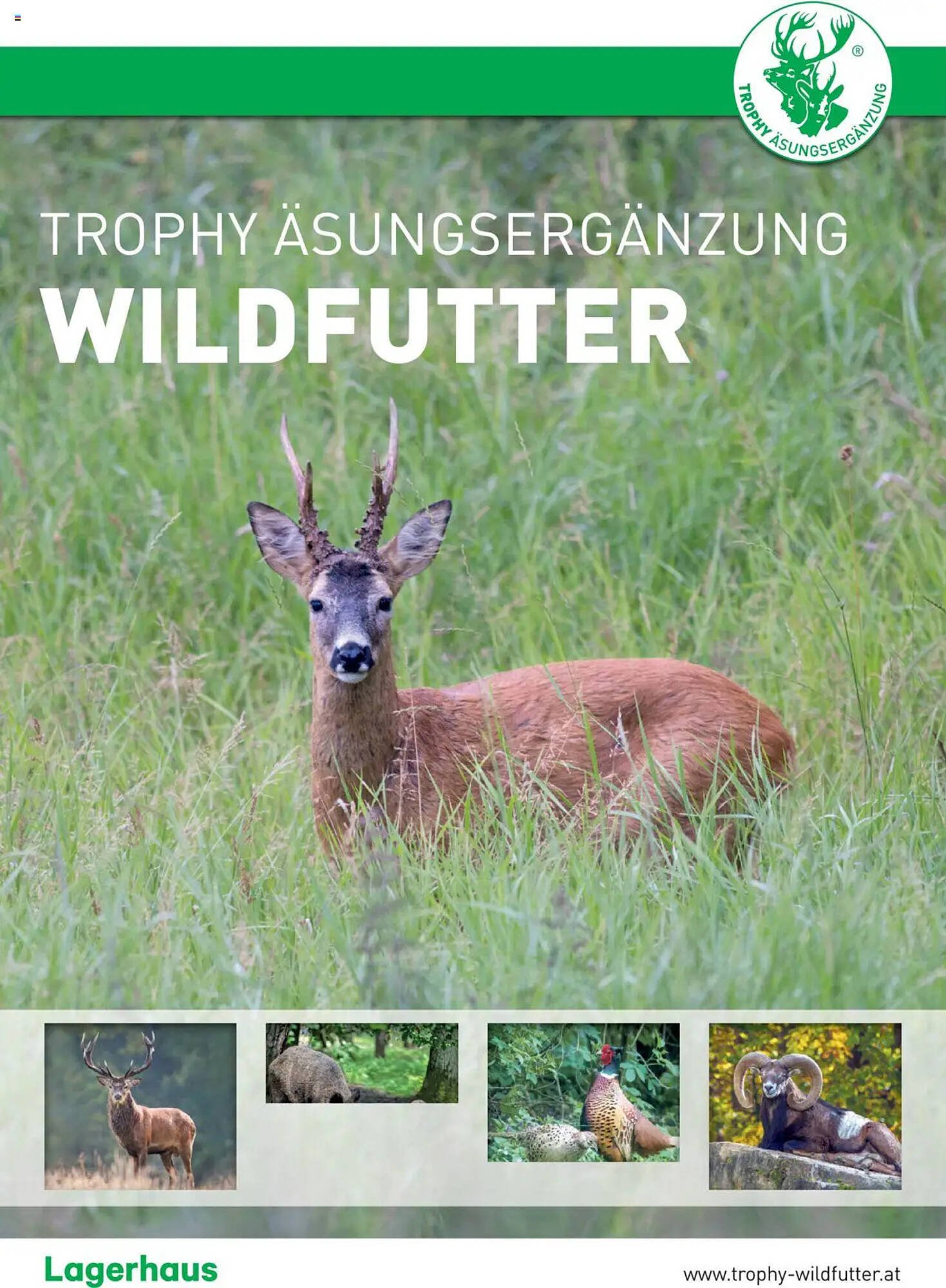 Lagerhaus Flugblatt (2025-07-25 - 2025-08-31) | 1