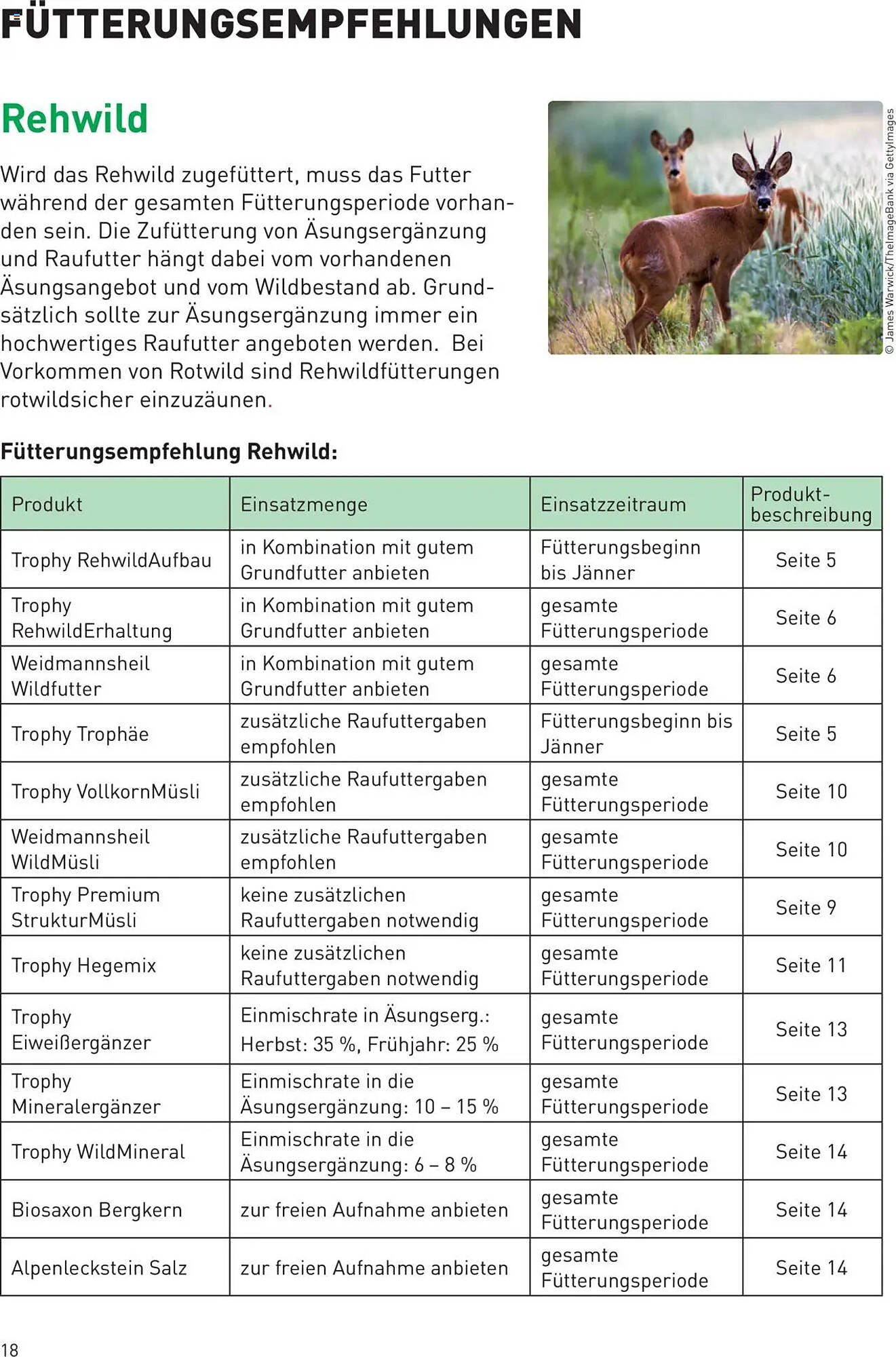 Lagerhaus Flugblatt (2025-07-25 - 2025-08-31)