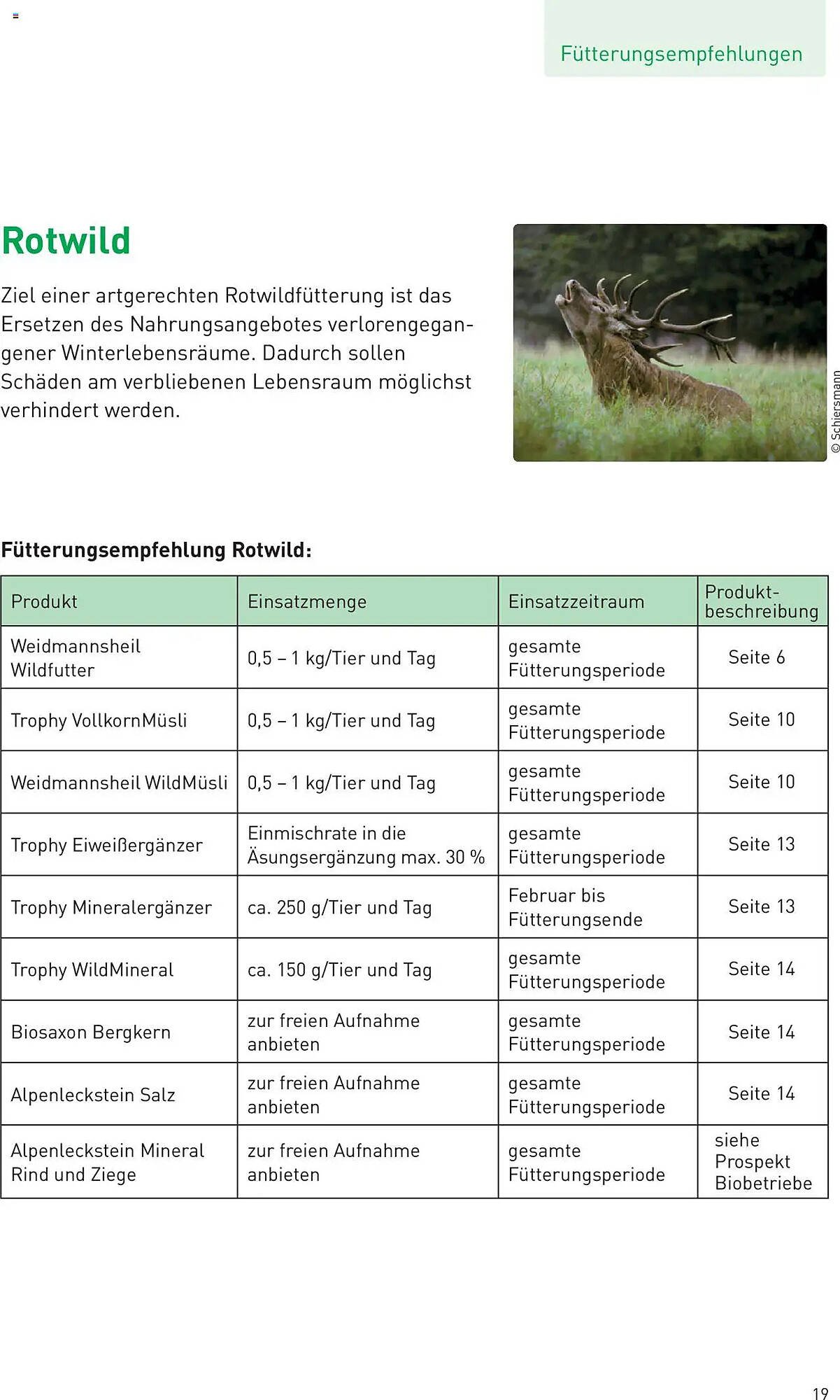Lagerhaus Flugblatt (2025-07-25 - 2025-08-31)
