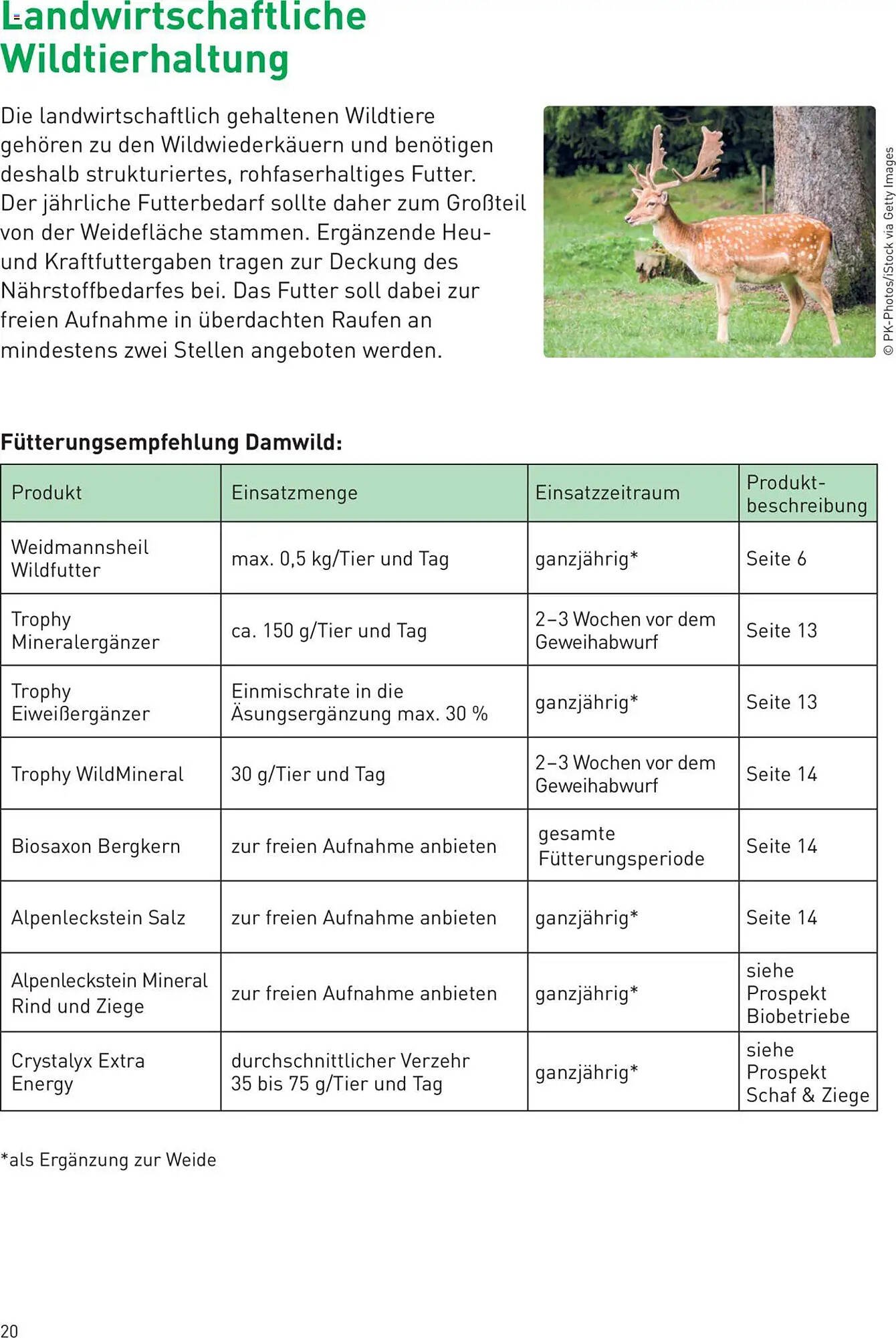 Lagerhaus Flugblatt (2025-07-25 - 2025-08-31)