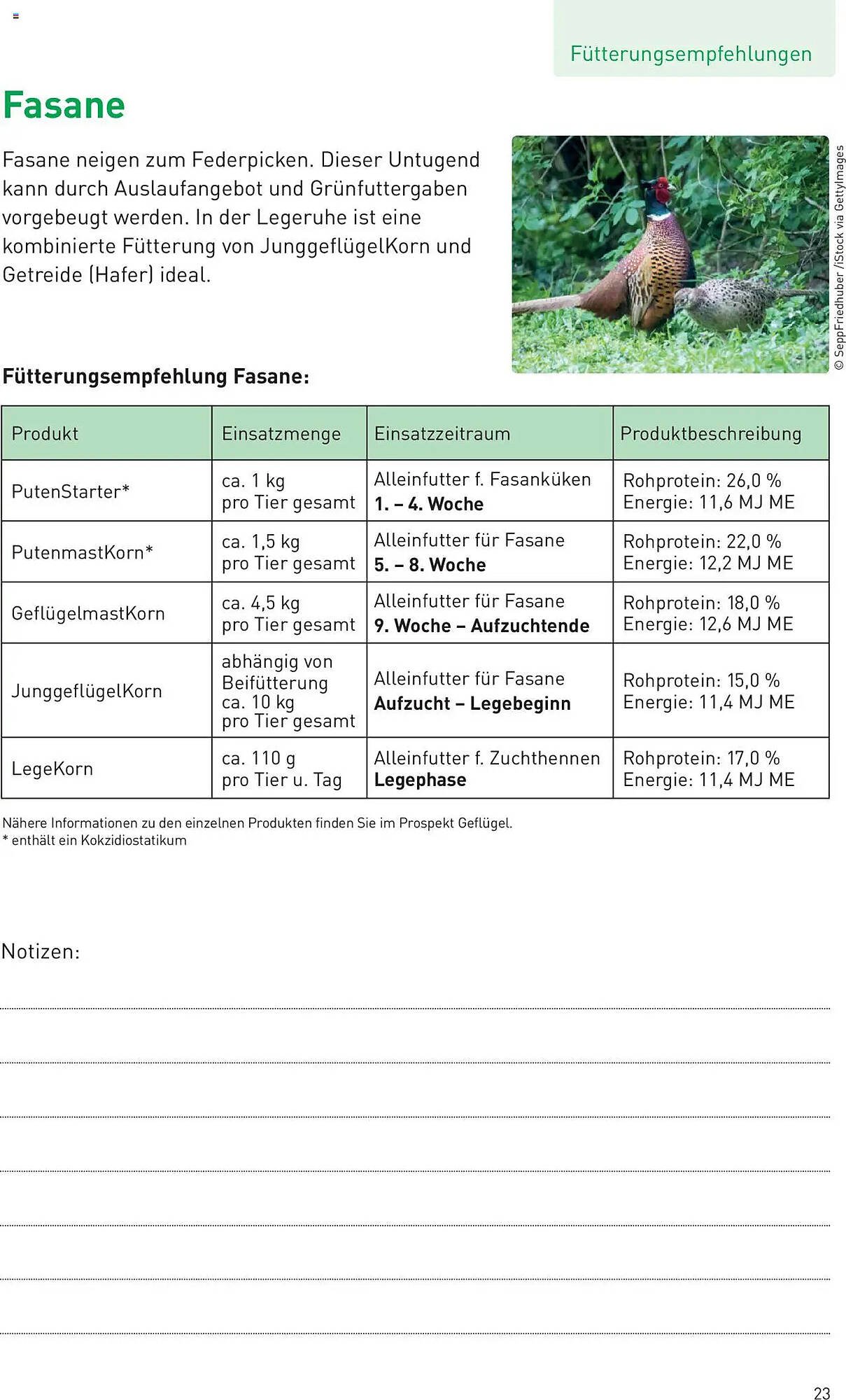 Lagerhaus Flugblatt (2025-07-25 - 2025-08-31)