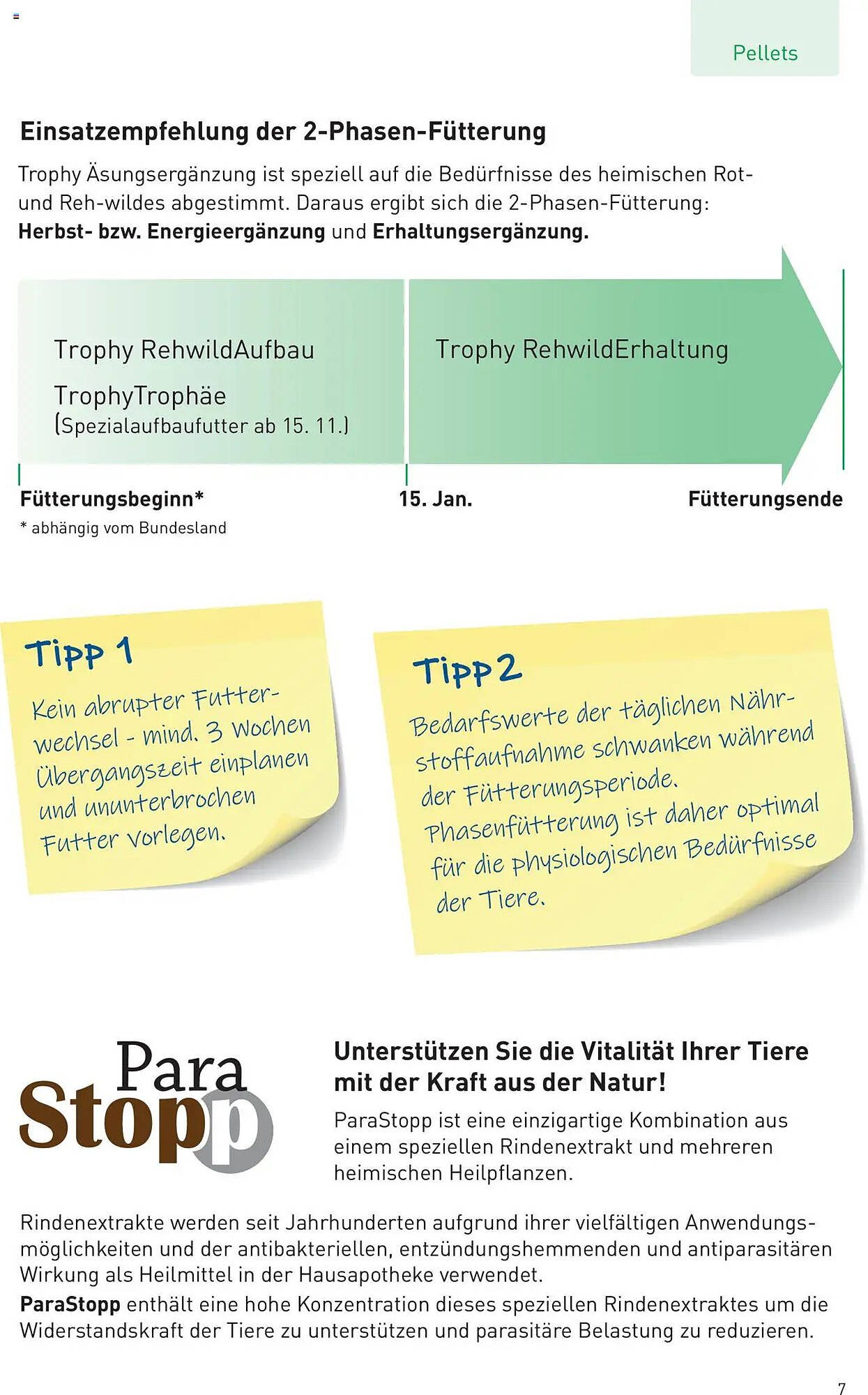 Lagerhaus Flugblatt (2025-07-25 - 2025-08-31)