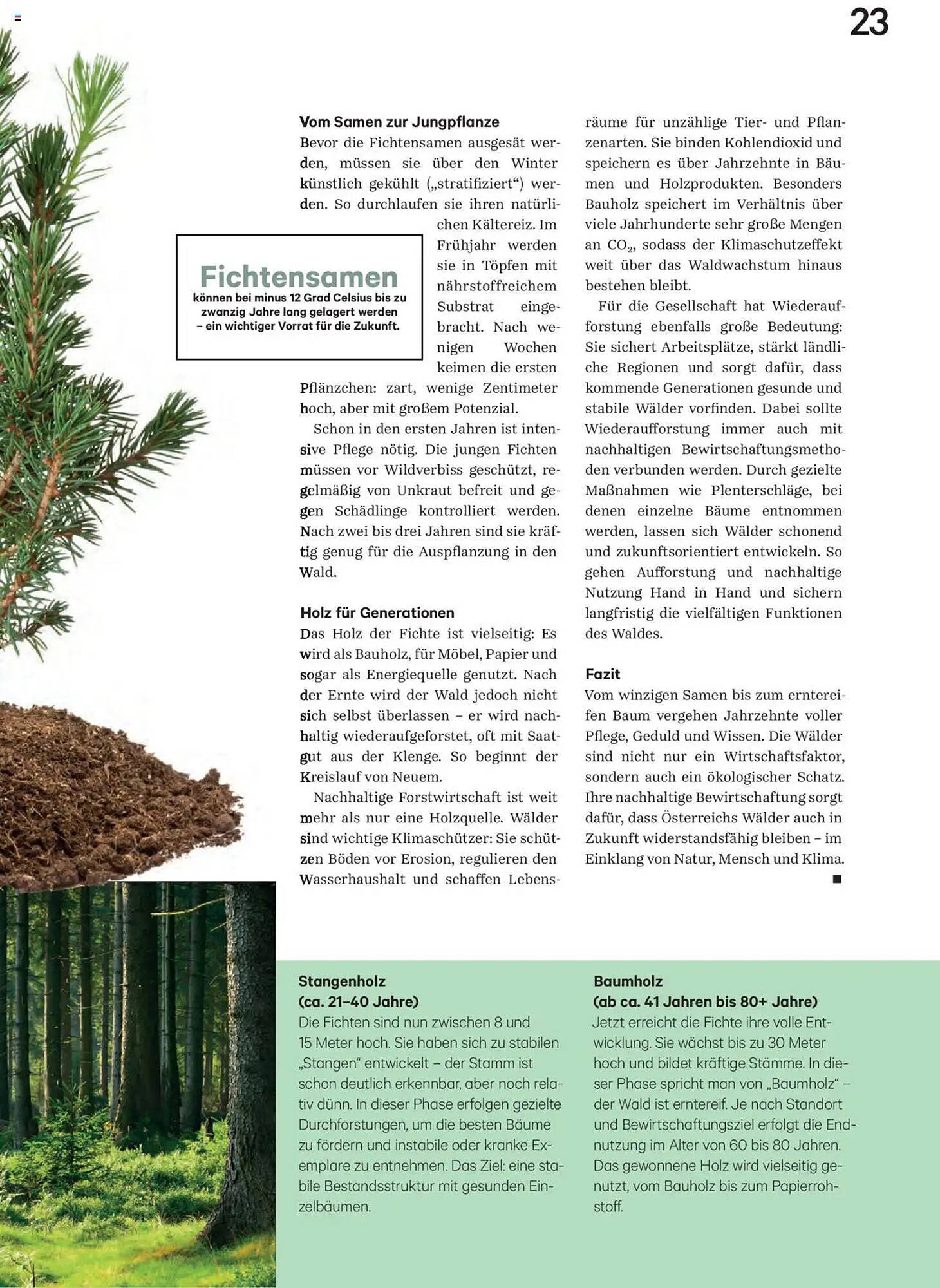 Lagerhaus Flugblatt (2025-10-01 - 2025-10-31)