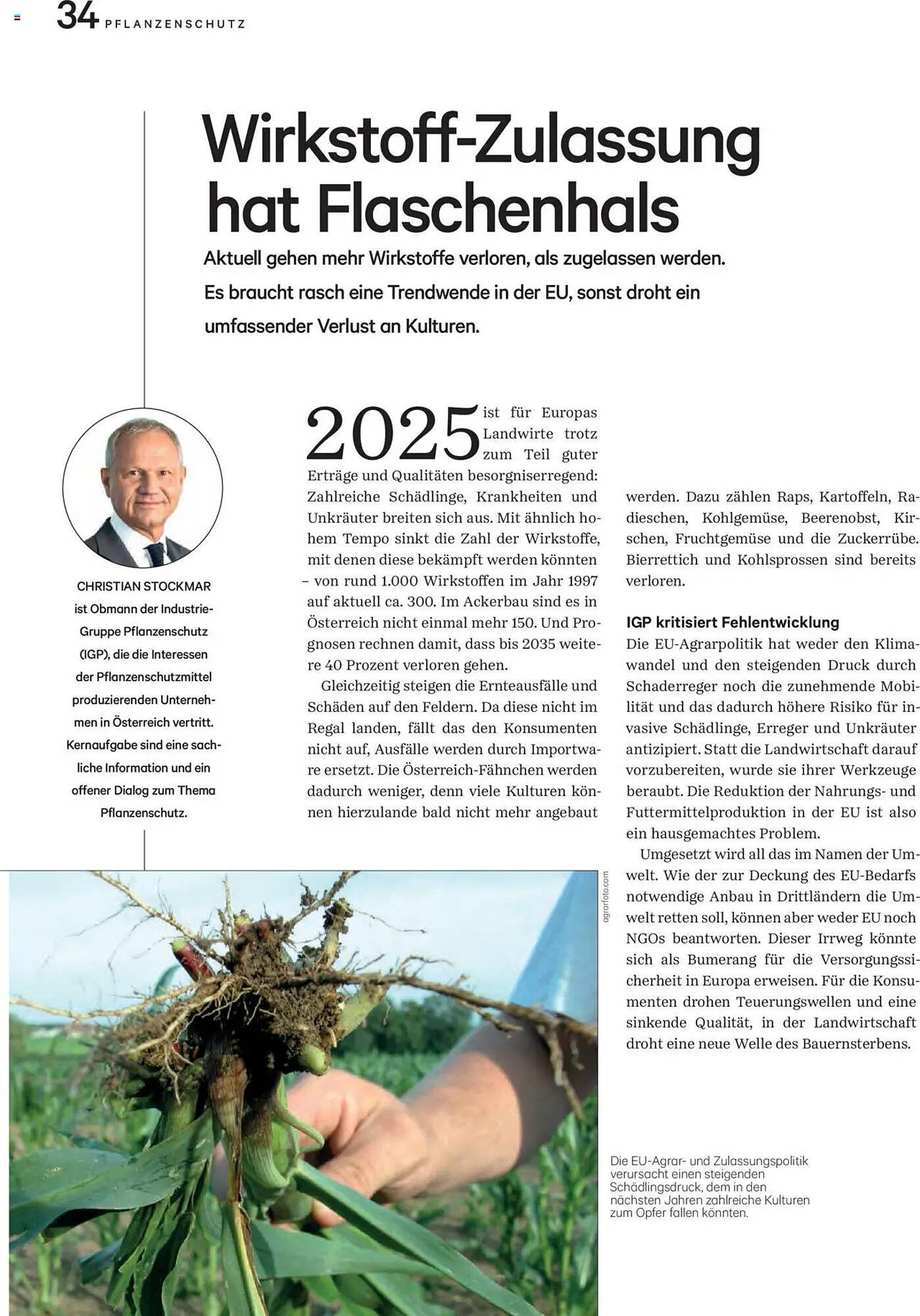 Lagerhaus Flugblatt (2025-10-01 - 2025-10-31)