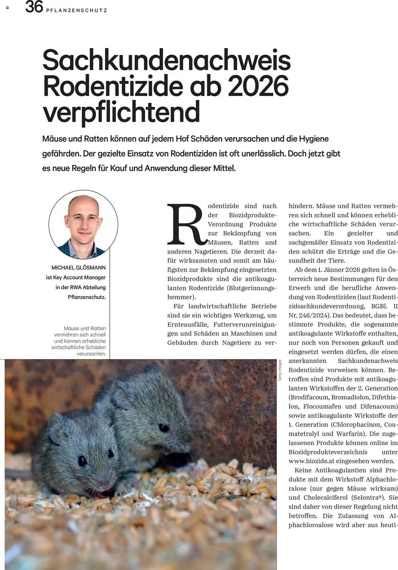 Lagerhaus Flugblatt (2025-10-01 - 2025-10-31)