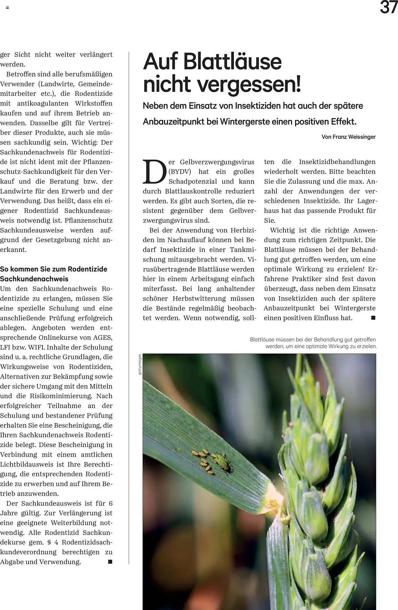 Lagerhaus Flugblatt (2025-10-01 - 2025-10-31)