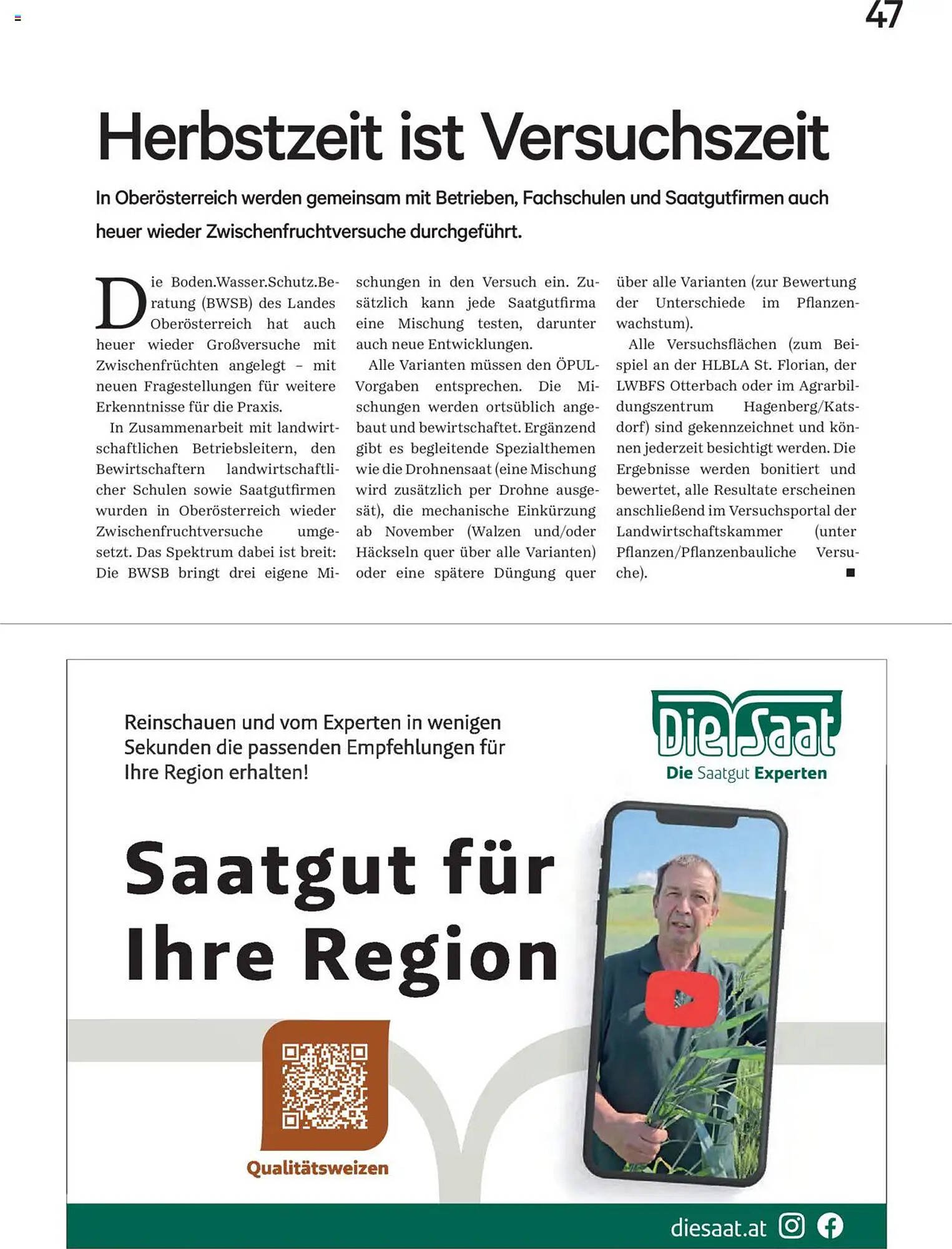 Lagerhaus Flugblatt (2025-10-01 - 2025-10-31)
