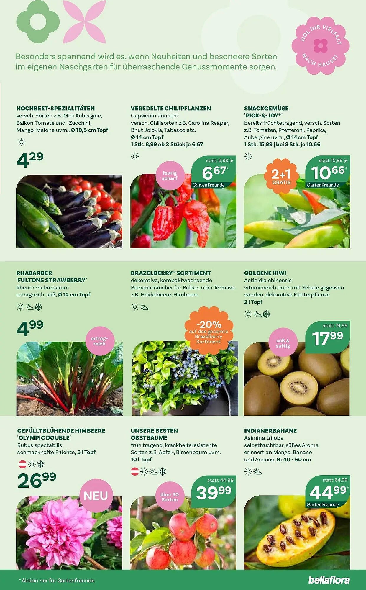 Bellaflora Flugblatt