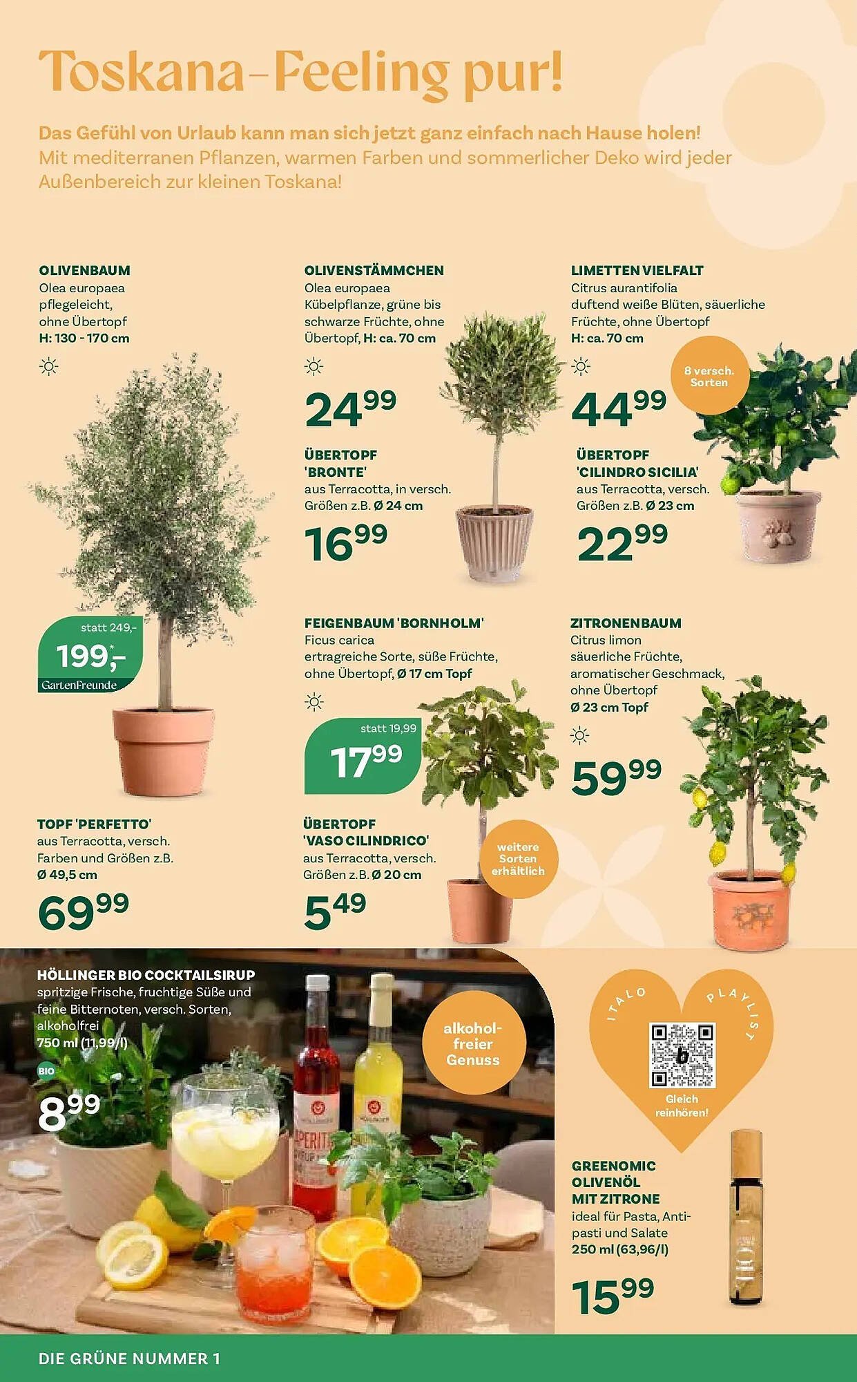 Bellaflora Flugblatt