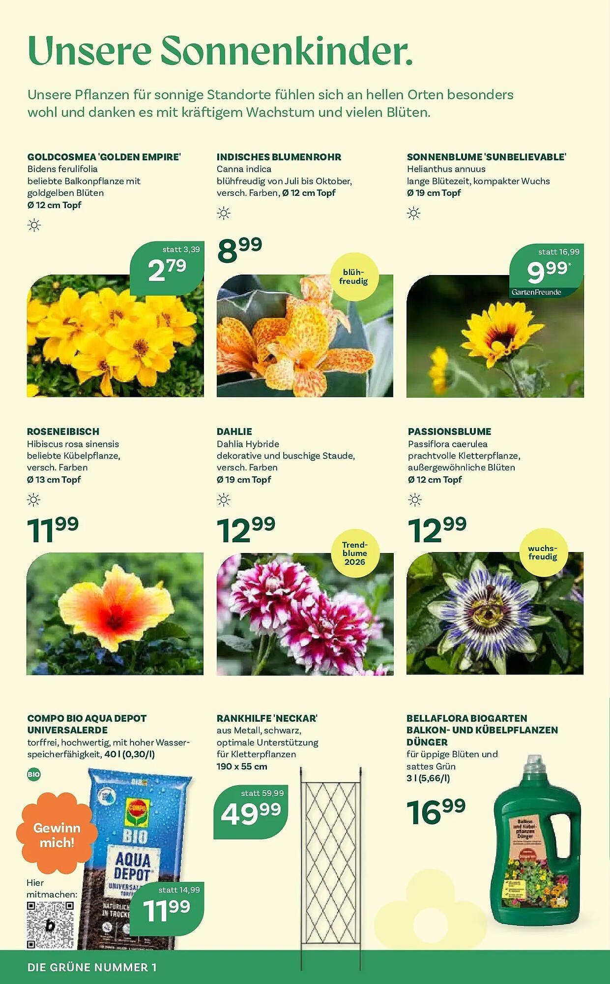 Bellaflora Flugblatt