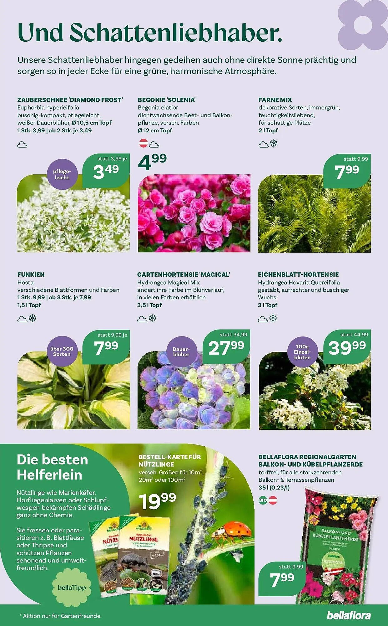 Bellaflora Flugblatt