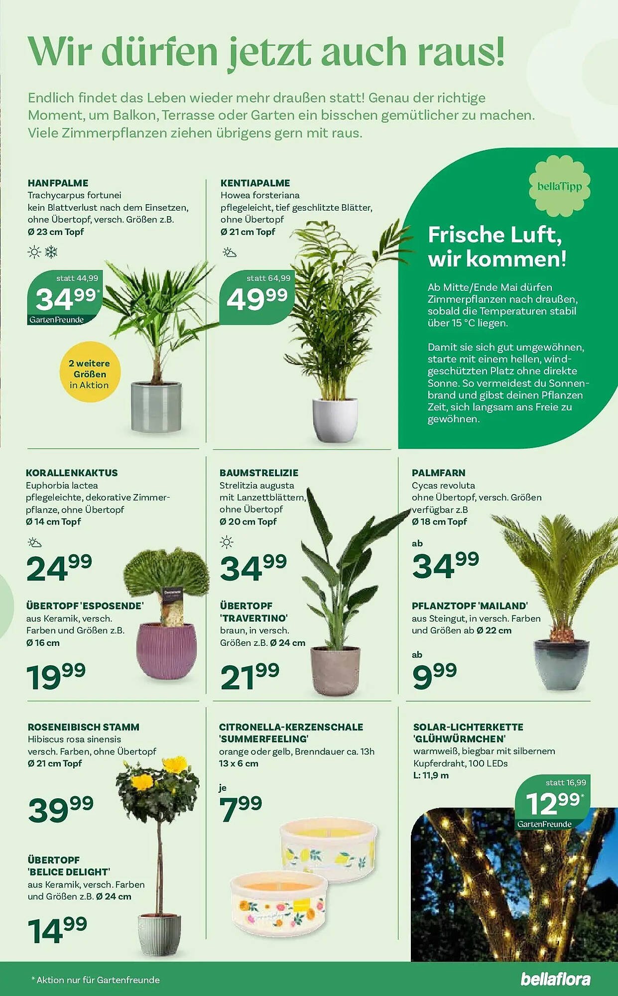 Bellaflora Flugblatt