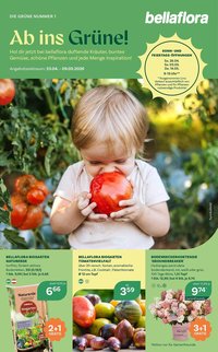 Bellaflora Flugblatt