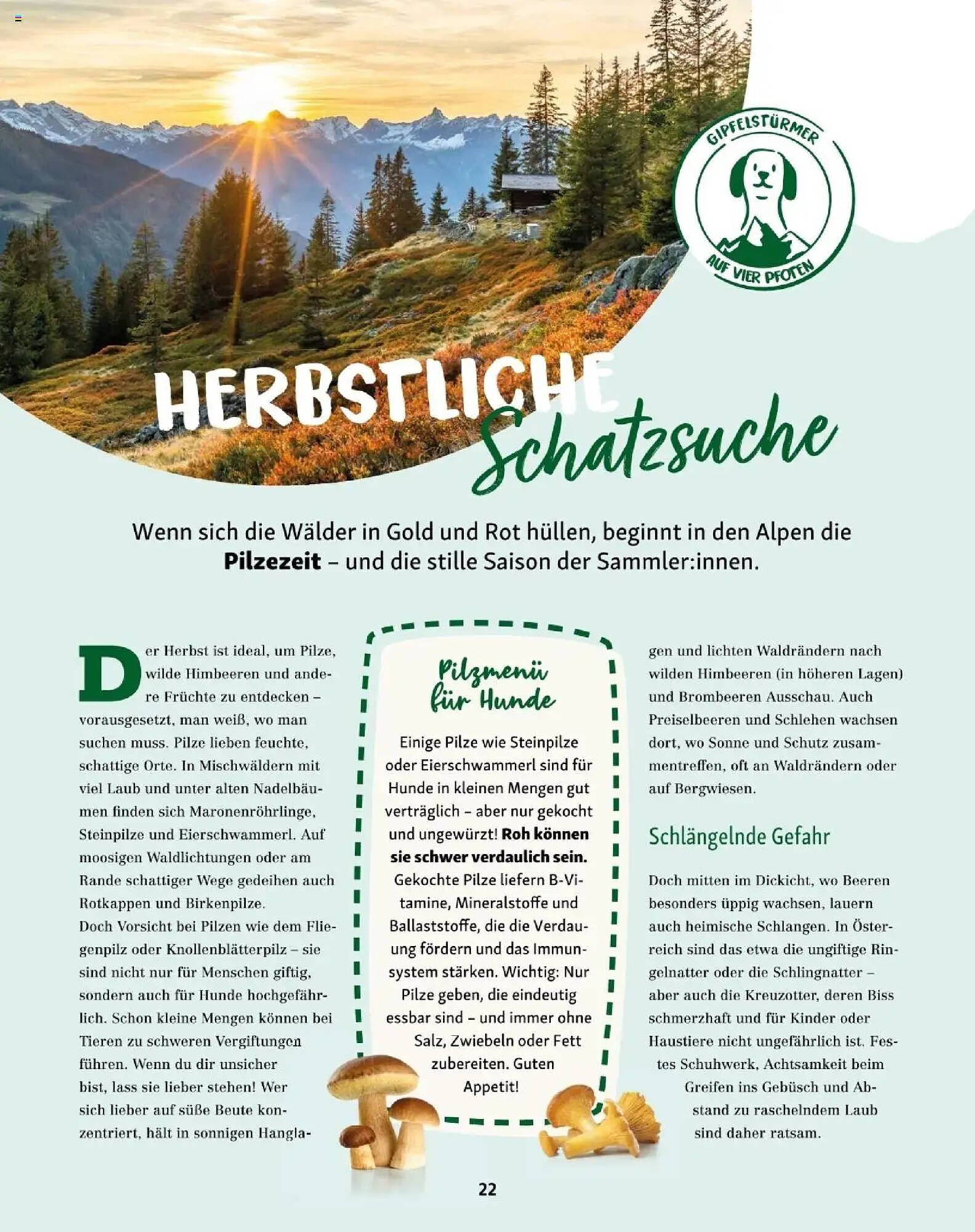 Fressnapf Flugblatt (2025-09-01 - 2025-10-31)