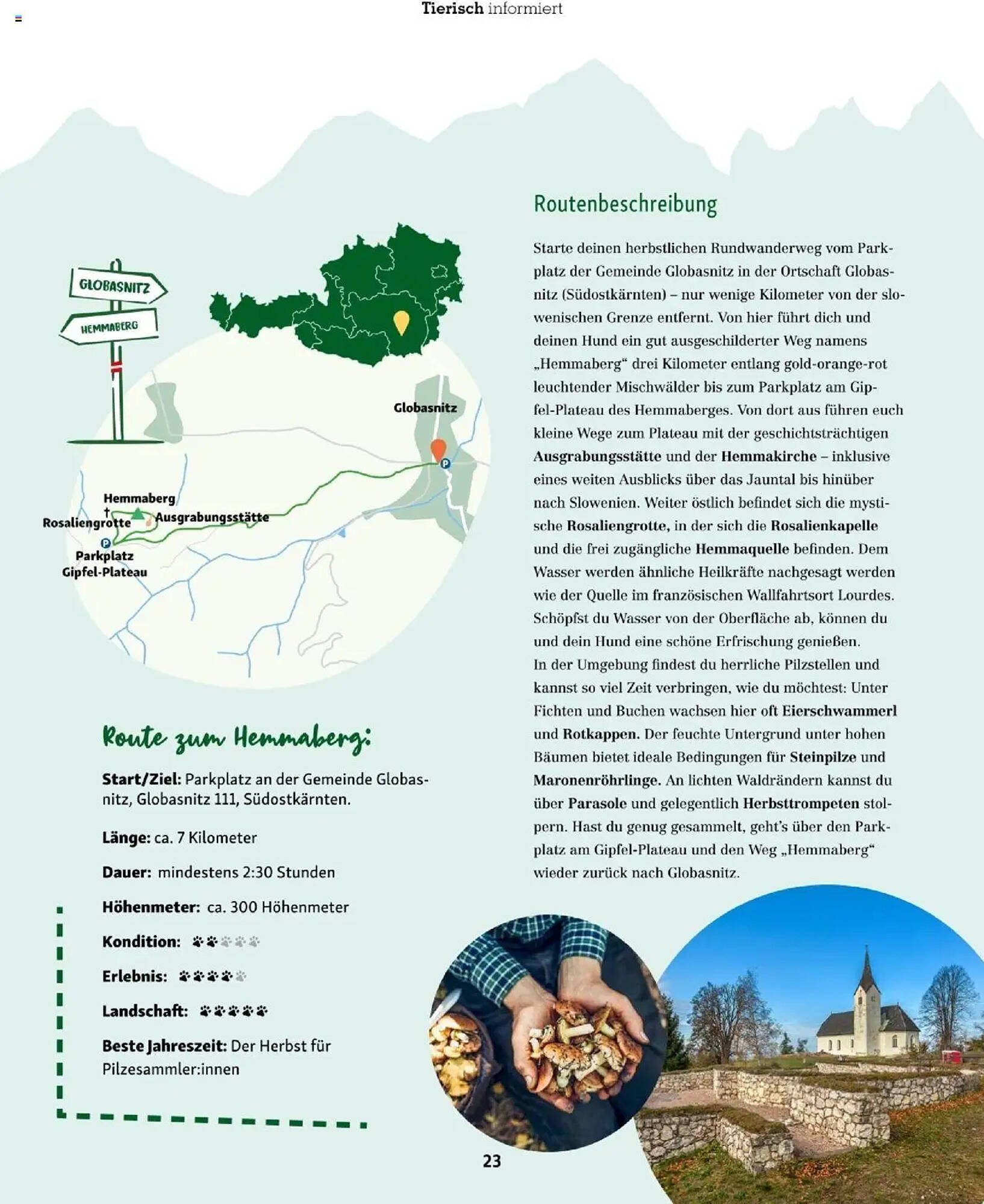 Fressnapf Flugblatt (2025-09-01 - 2025-10-31)