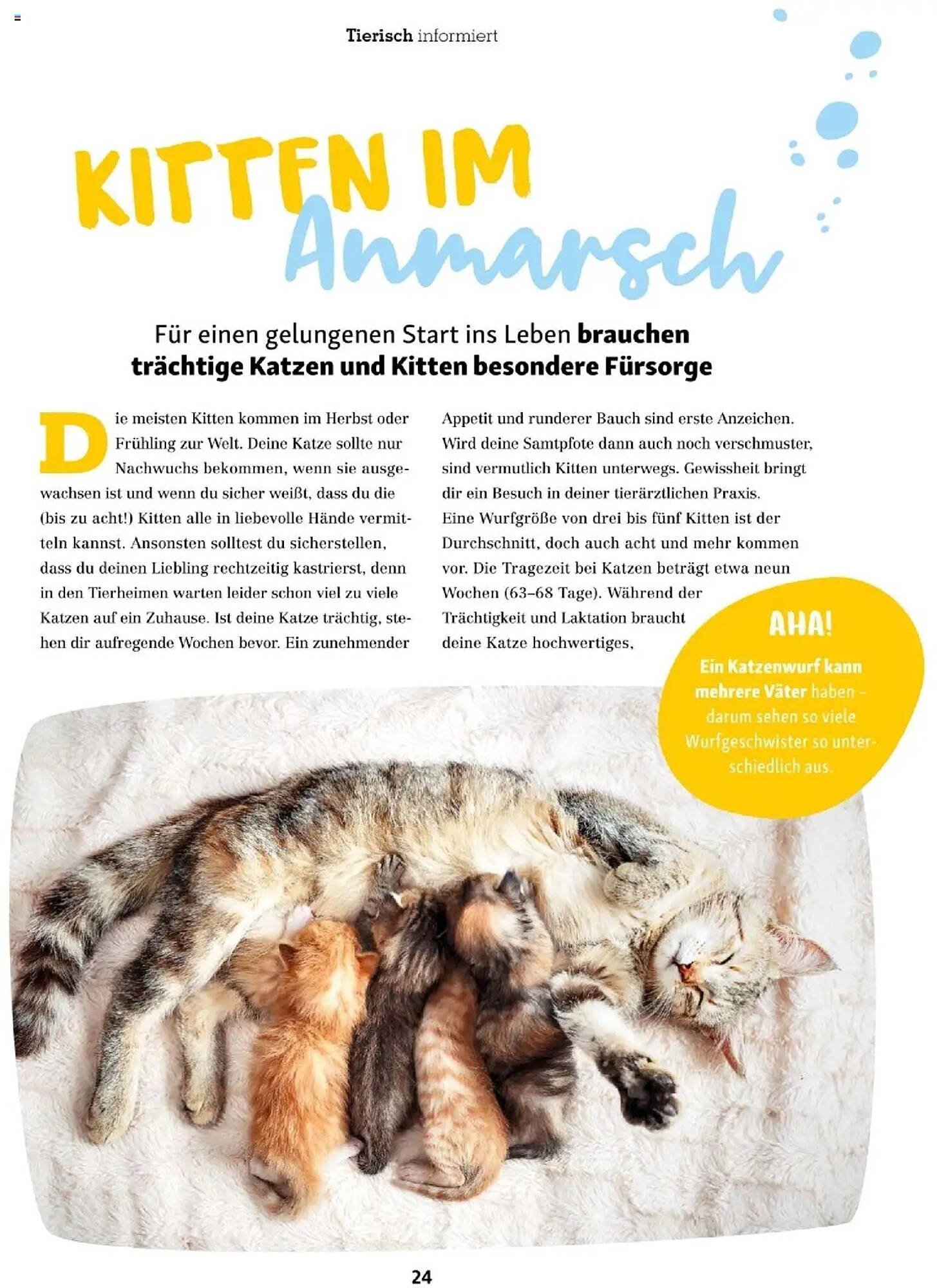 Fressnapf Flugblatt (2025-09-01 - 2025-10-31)