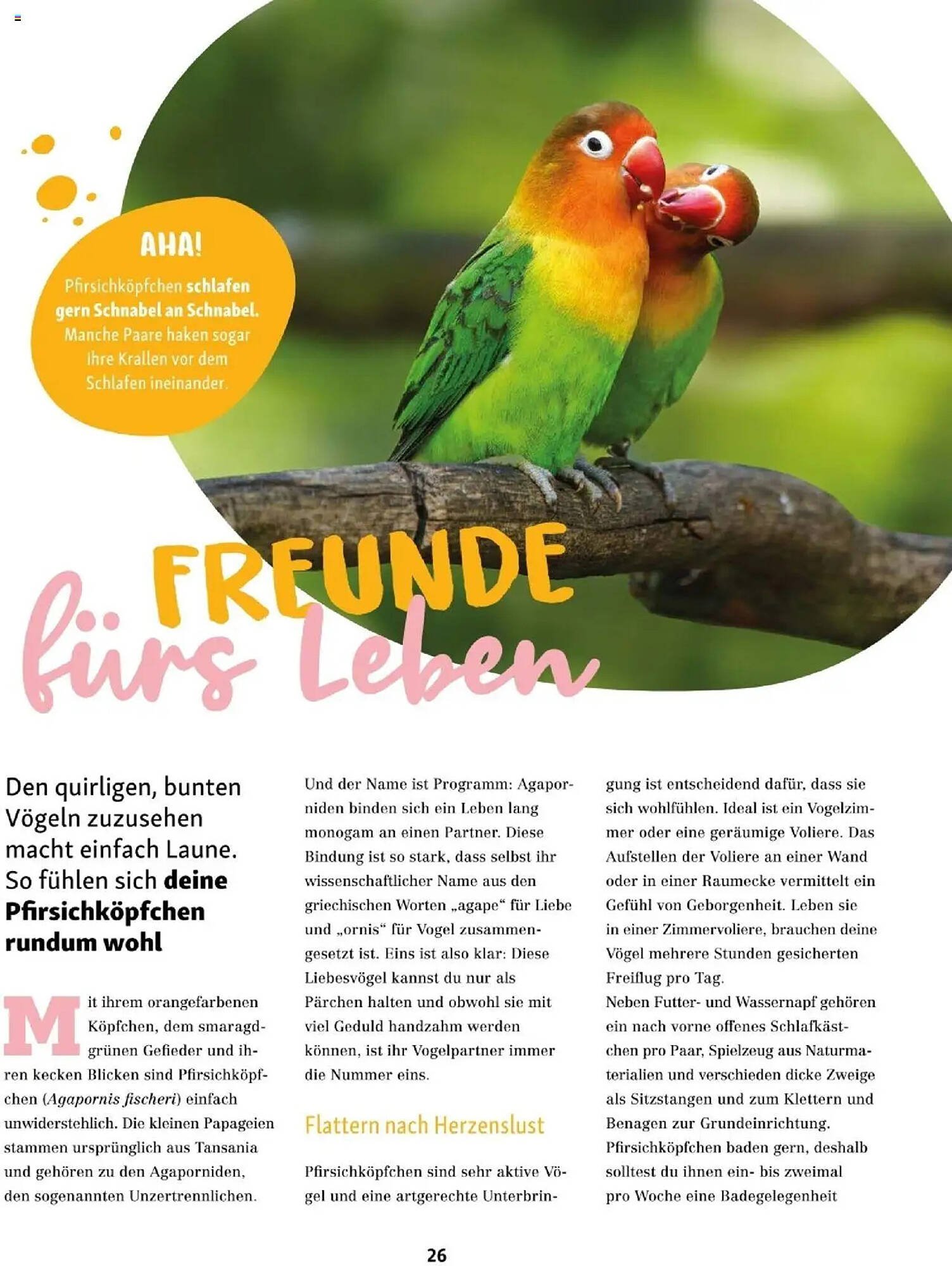 Fressnapf Flugblatt (2025-09-01 - 2025-10-31)