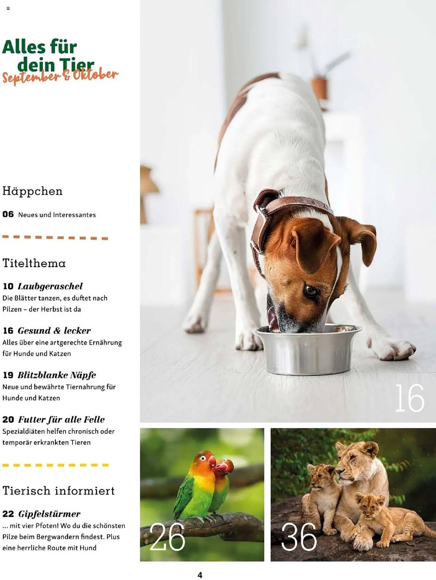 Fressnapf Flugblatt (2025-09-01 - 2025-10-31)