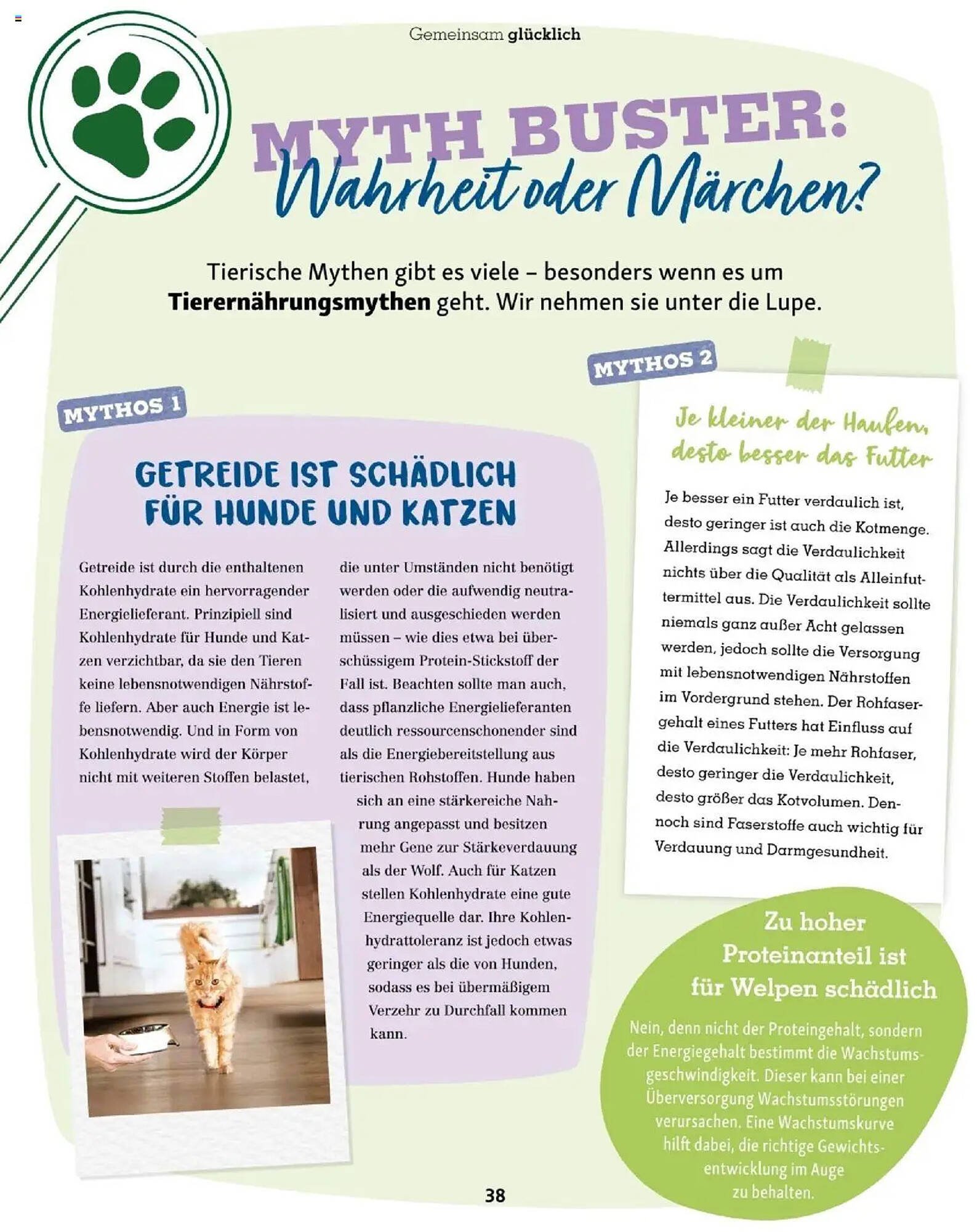 Fressnapf Flugblatt (2025-09-01 - 2025-10-31)