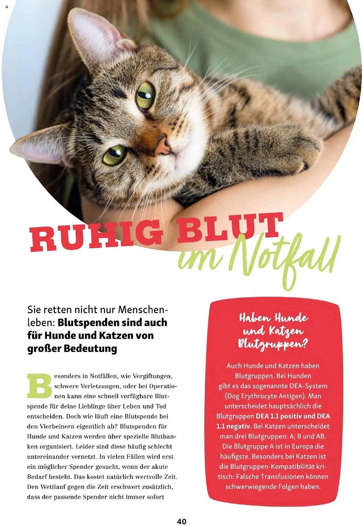 Fressnapf Flugblatt (2025-09-01 - 2025-10-31)