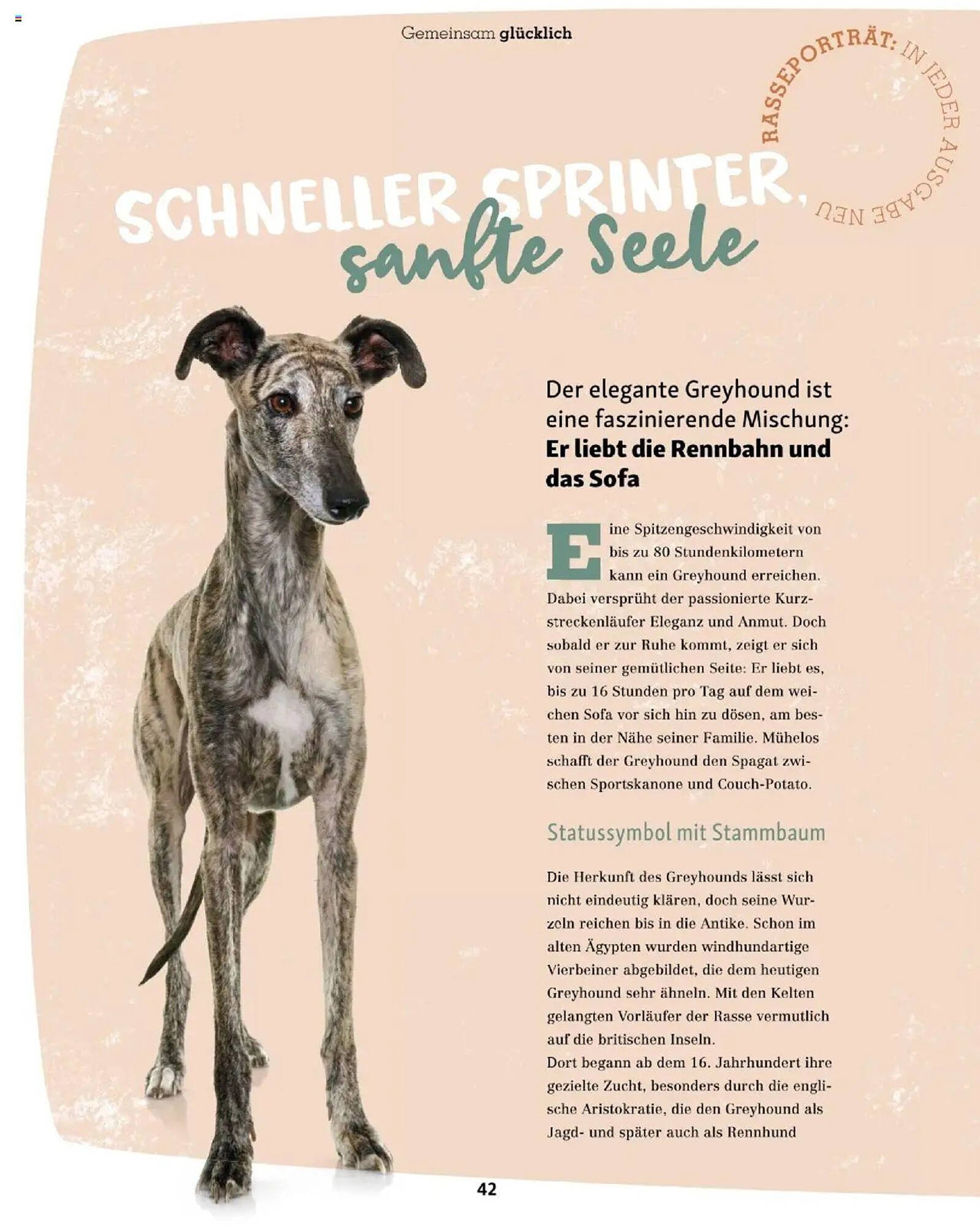 Fressnapf Flugblatt (2025-09-01 - 2025-10-31)
