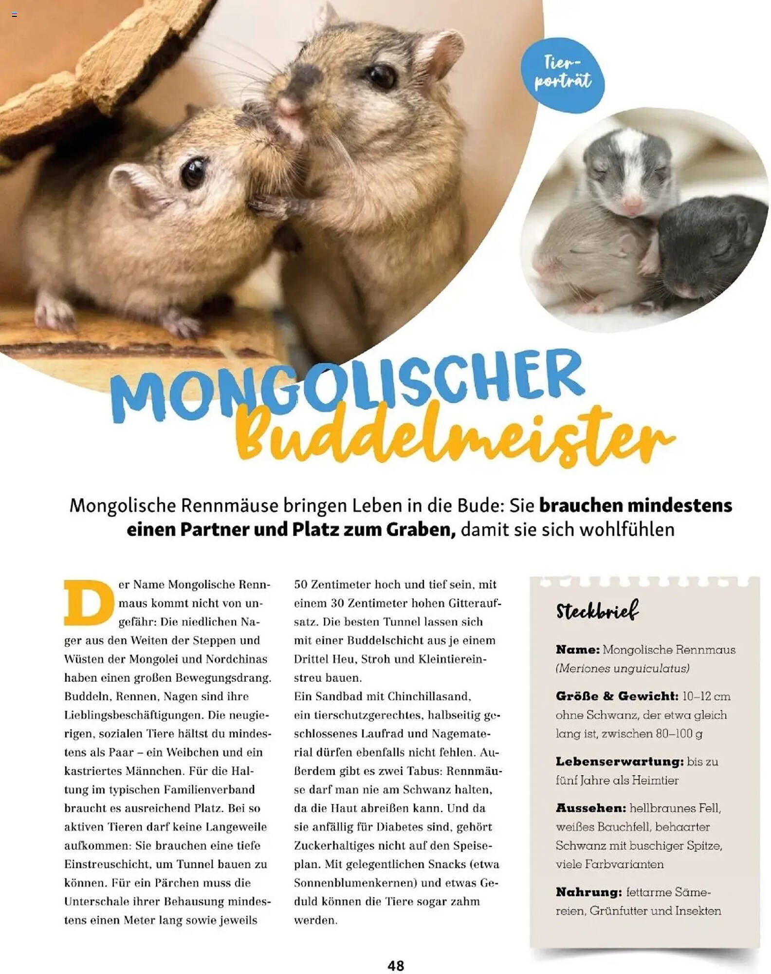 Fressnapf Flugblatt (2025-09-01 - 2025-10-31)