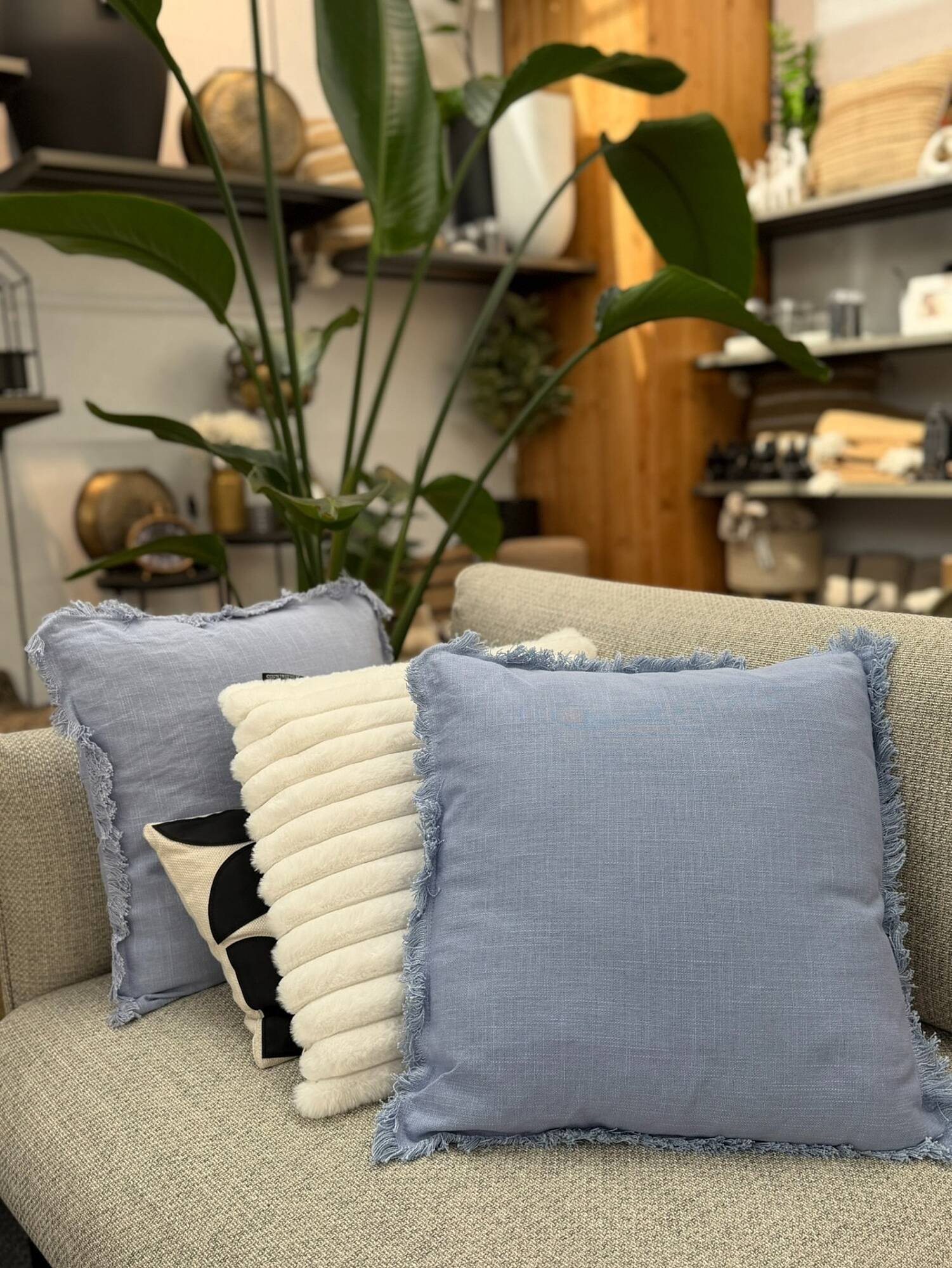 Bellaflora Flugblatt