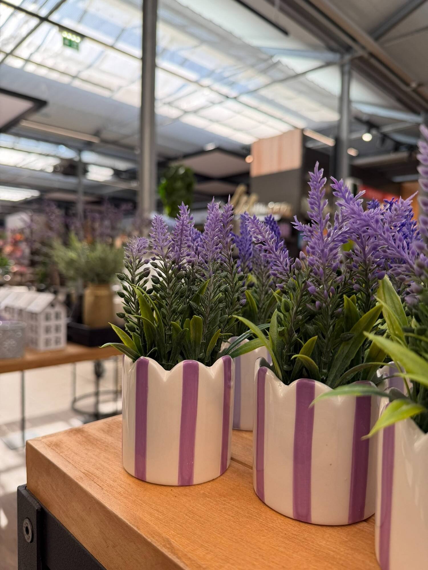 Bellaflora Flugblatt